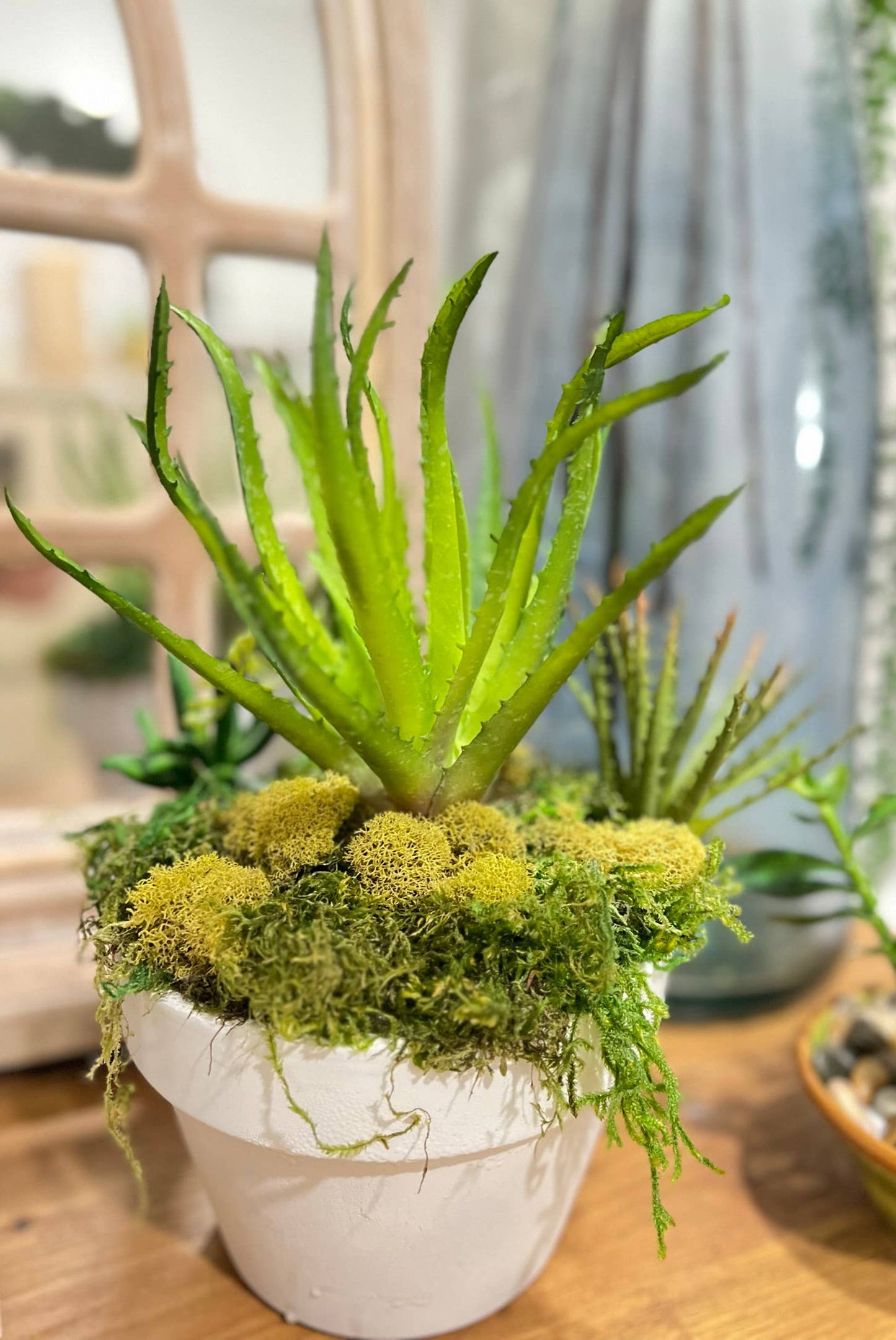 High-end-Ultra realist Real Touch Succulents Aloe-10"