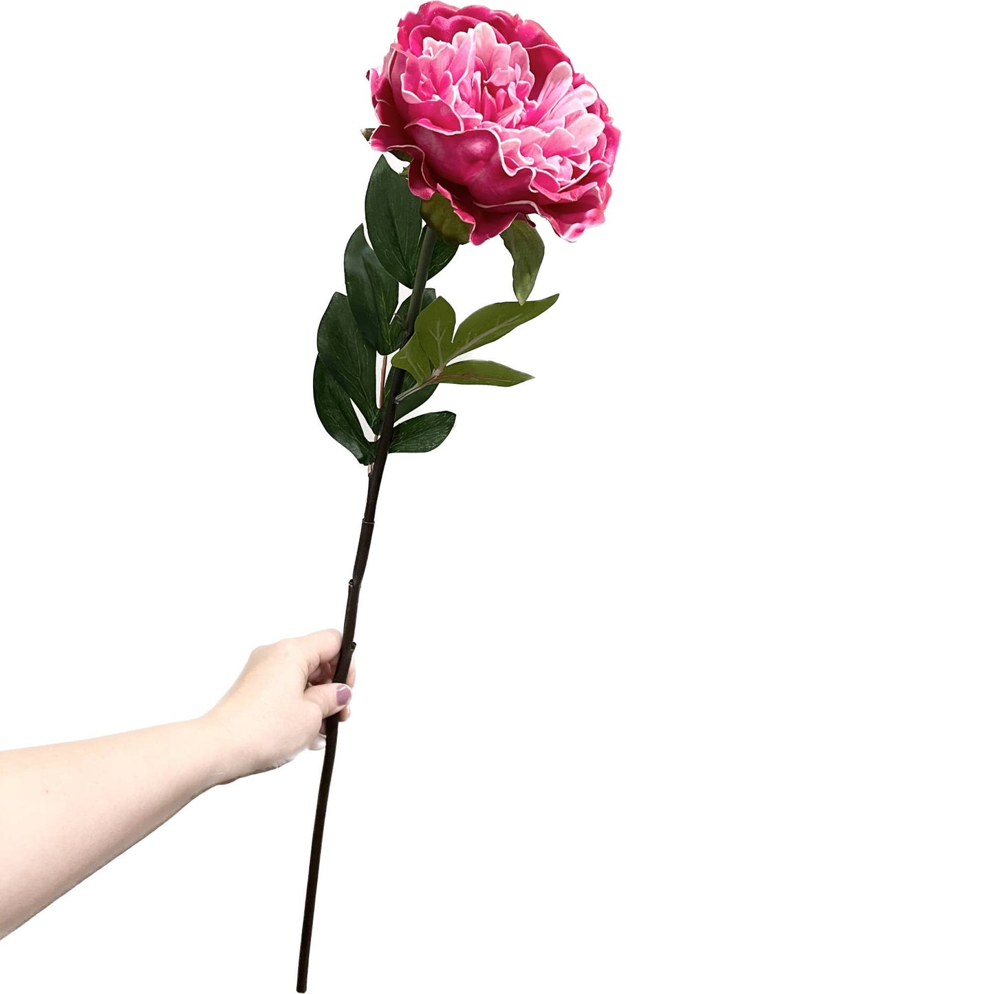 30" Elegant Bloom Long stem soft touch-PU made Peony