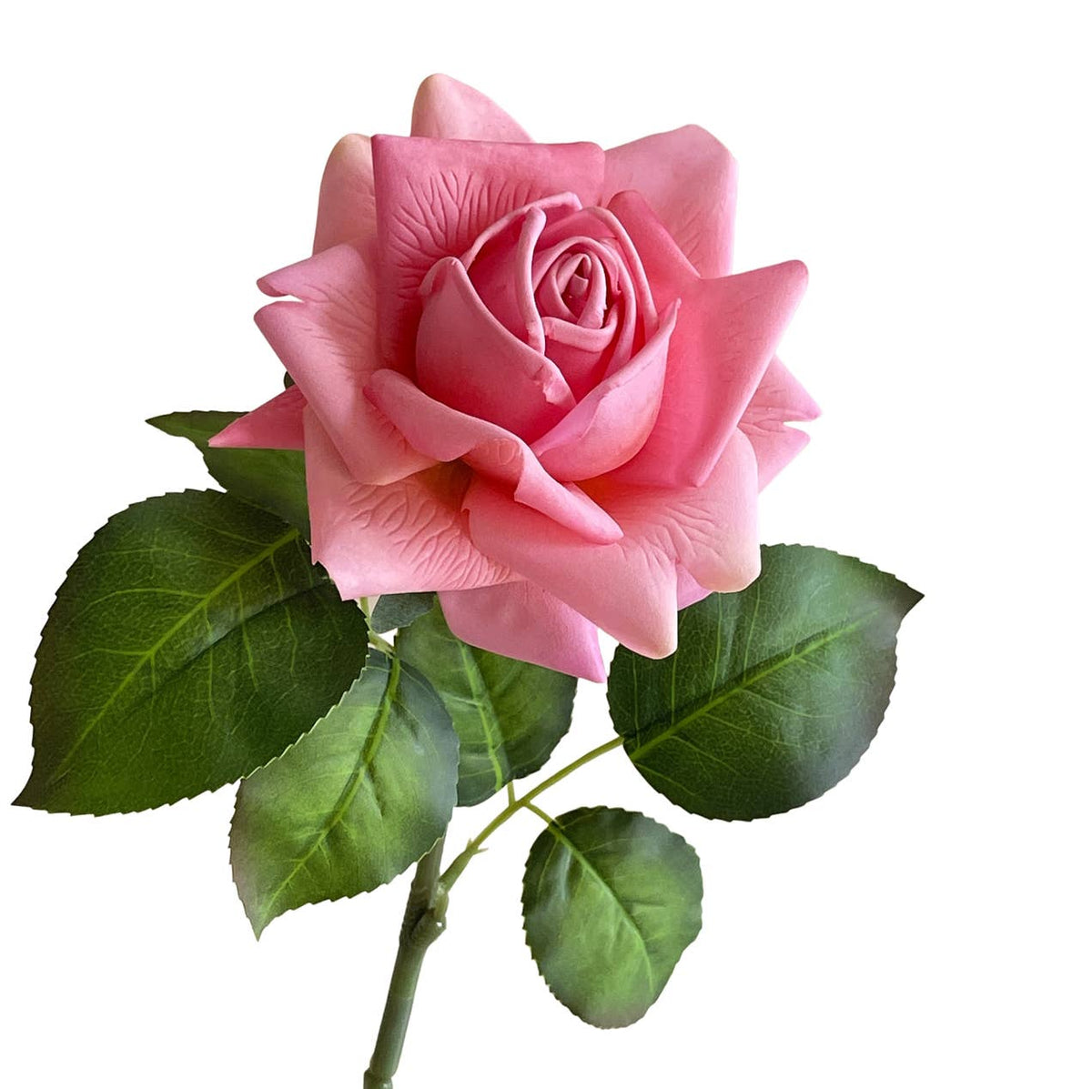19"-Premium Moisturizing Coating Real Touch Rose