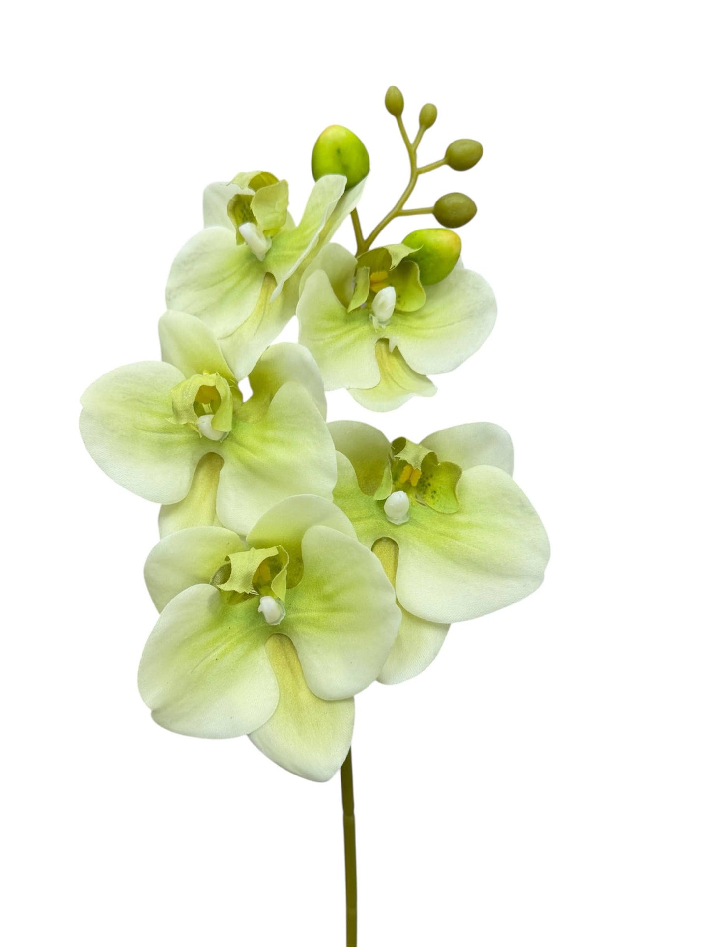 17.5" Real Touch Orchid – High-End Moisturized Coating