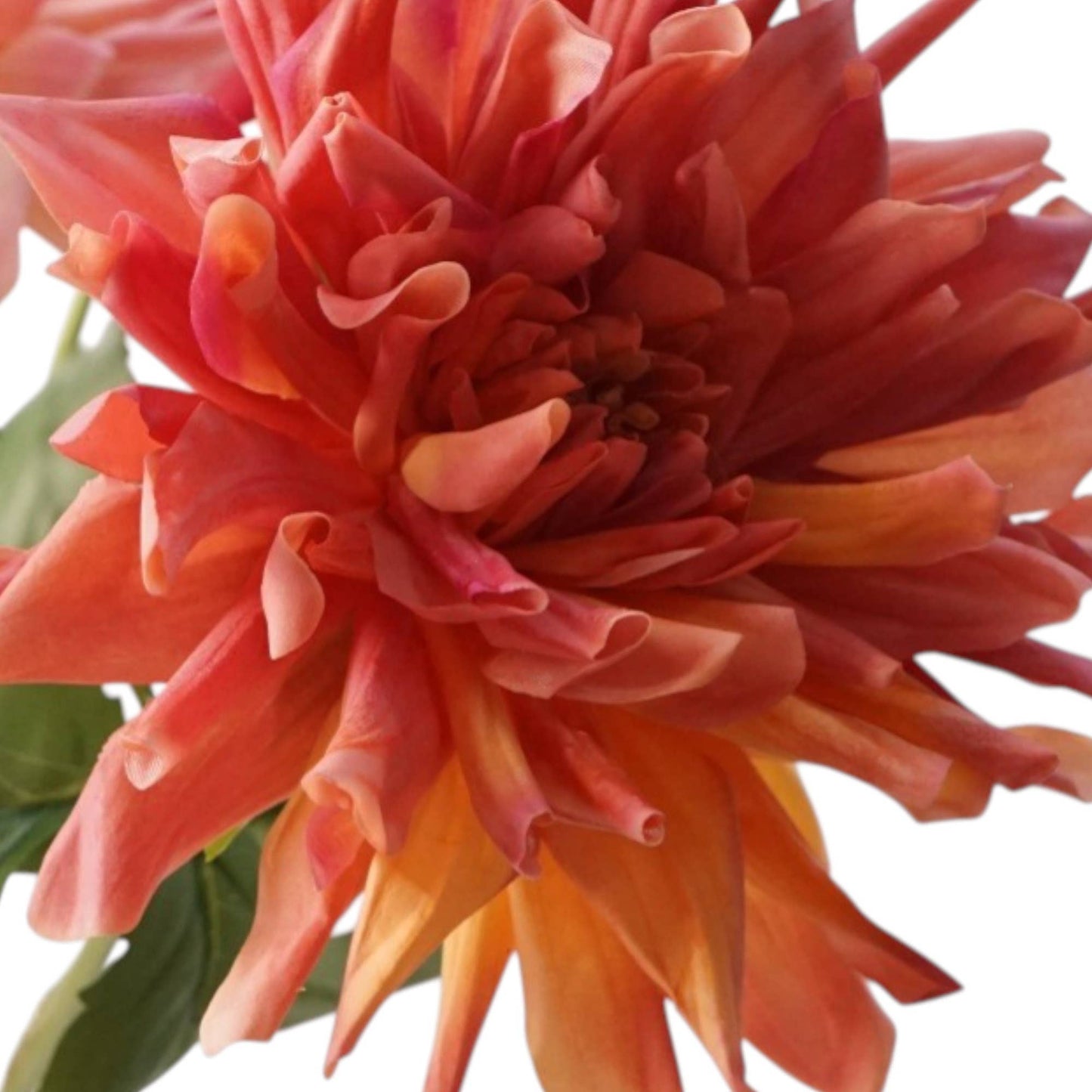 24" Designer's Pick-Real Touch Dahlia-Moisturized Coating