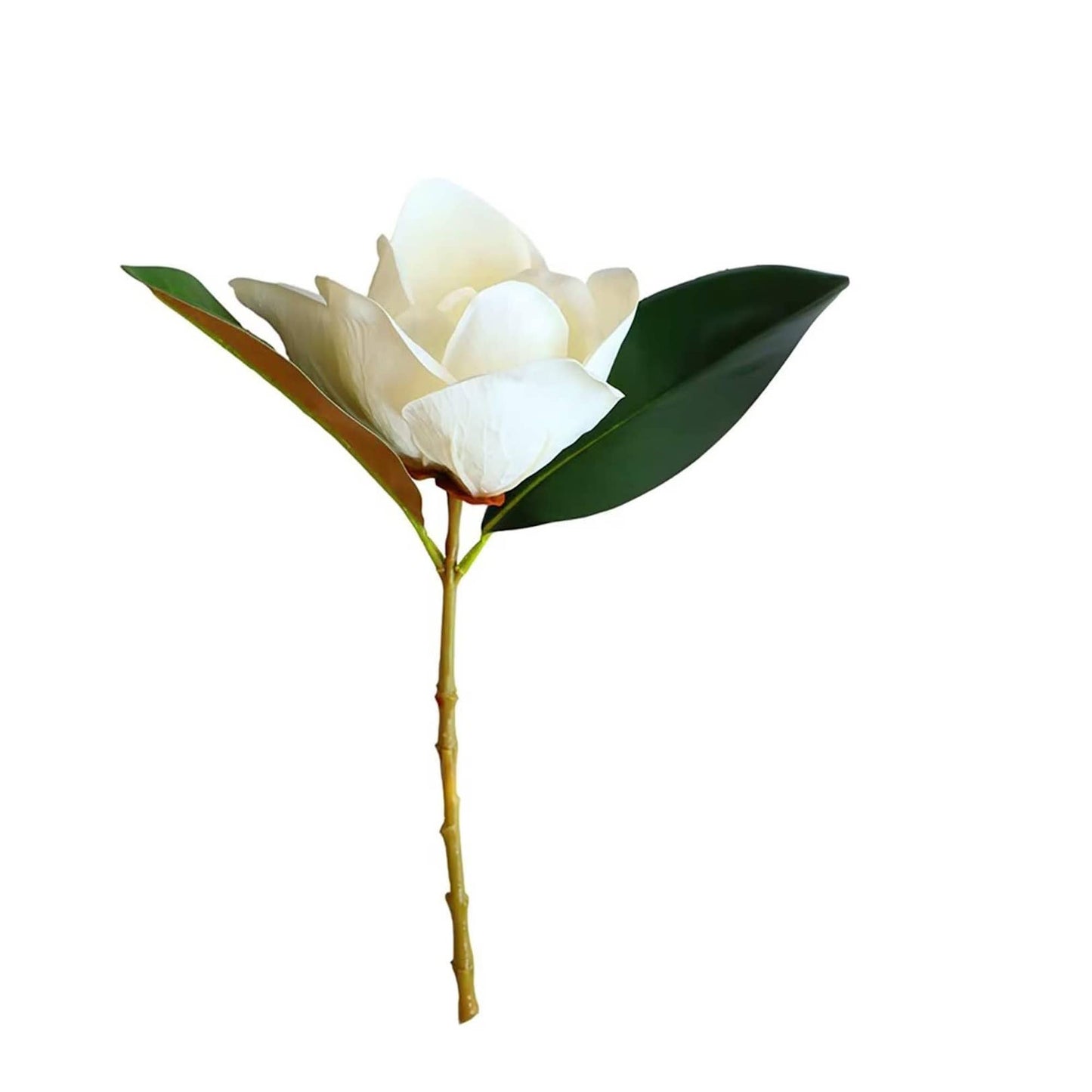Realistic 6-8"Large bloom Magnolia Flower with Leaves