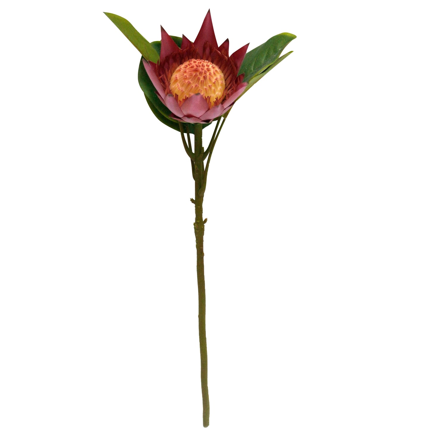 21" Artificial King Protea stem silk bloom real touch leaf
