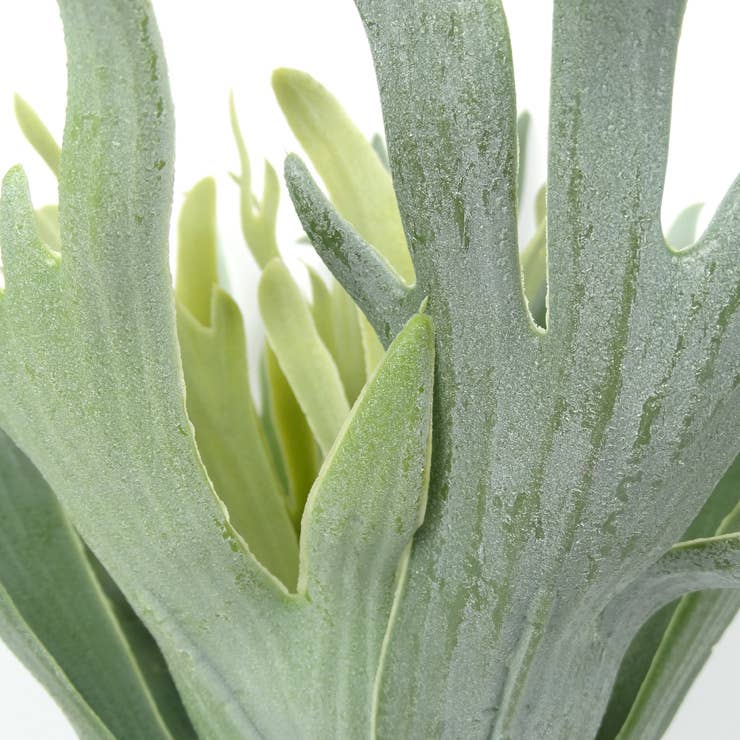 16" Artificial Staghorn plant-12 leaves