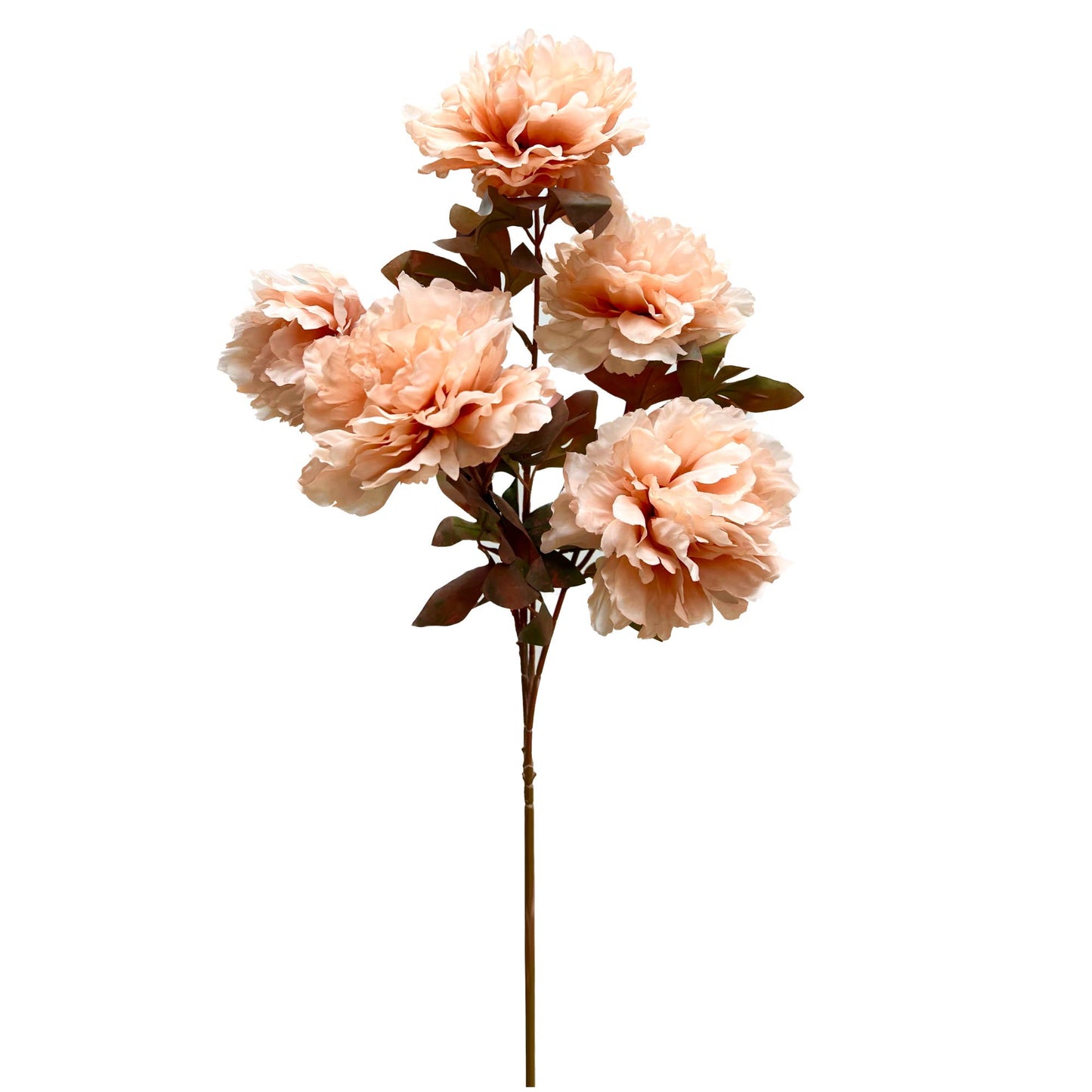 30" Rustic Artificial Silk Peony spray with 5 Blooms