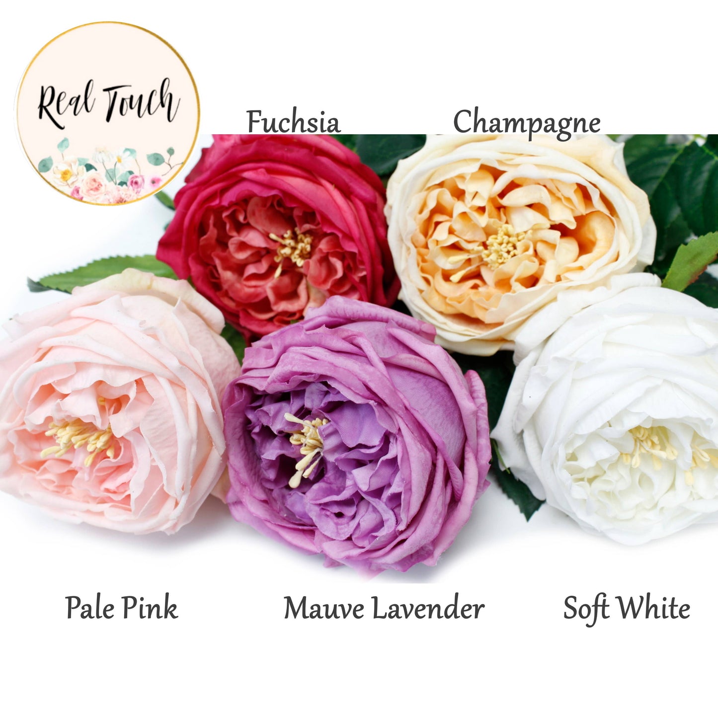 28" Premium Real touch English Cabbage Rose Stem