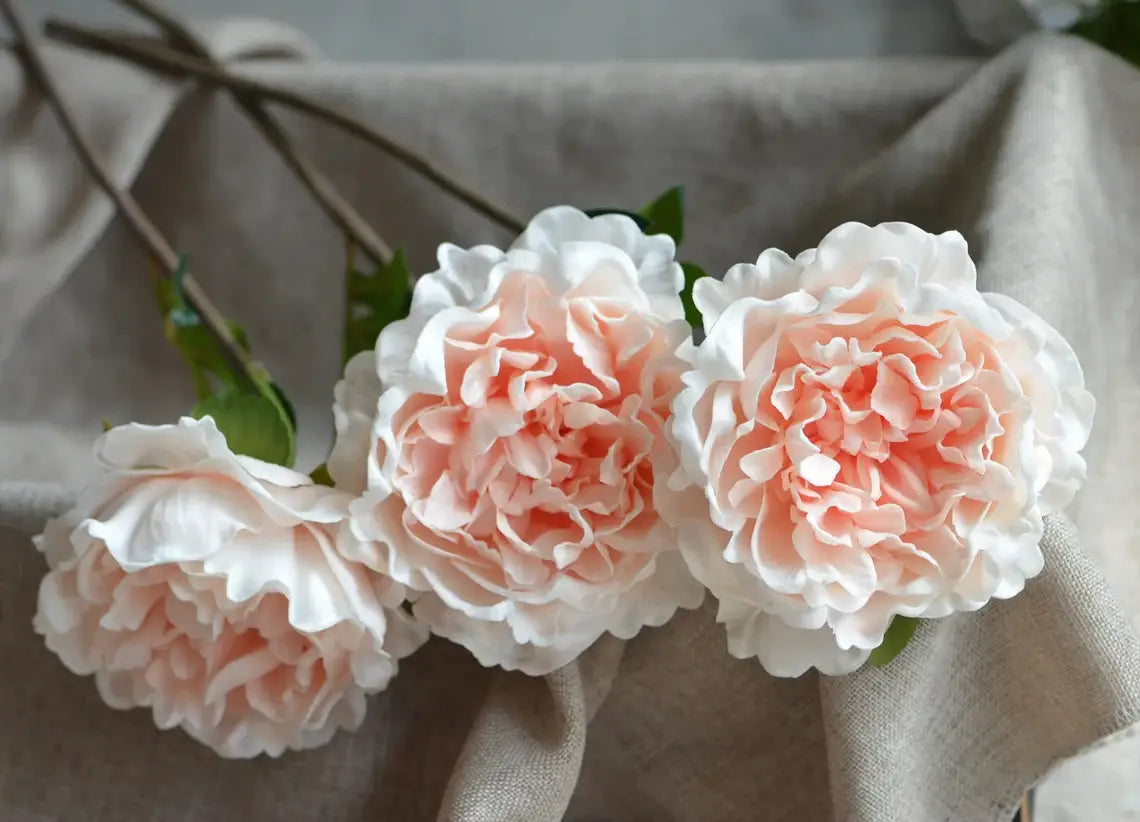 30" Premium Long stem Large Bloom Peony