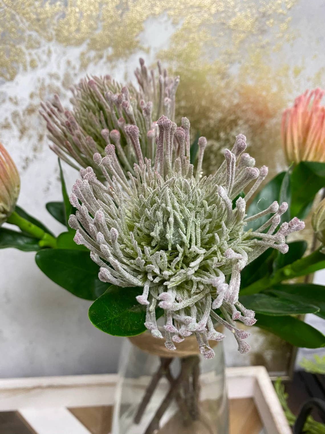 16" Artificial frosted needle pincushion protea