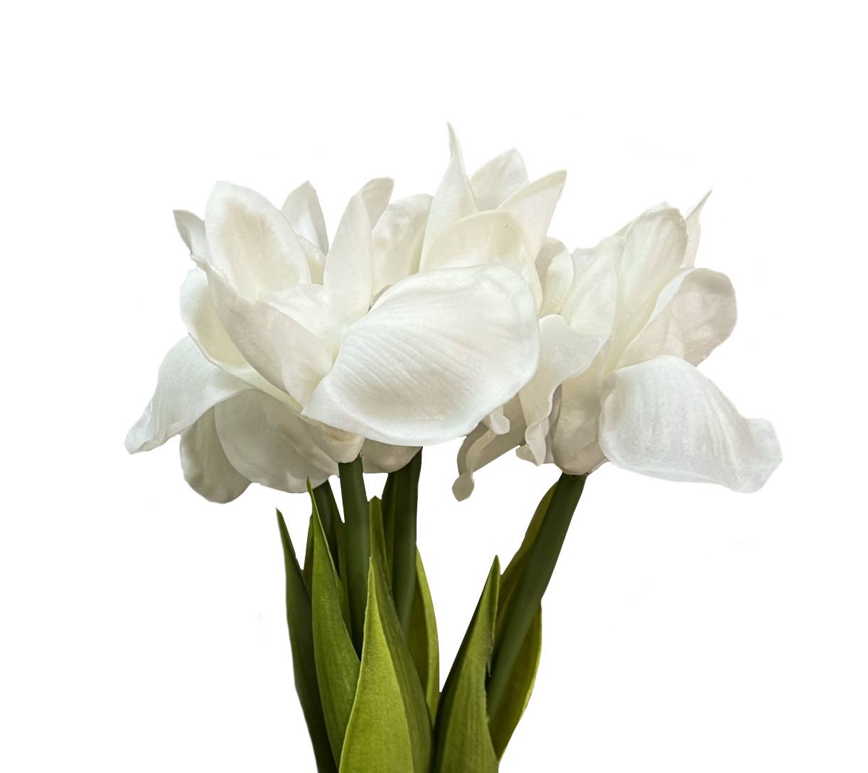 18inch-Real Touch Bearded Iris Stem