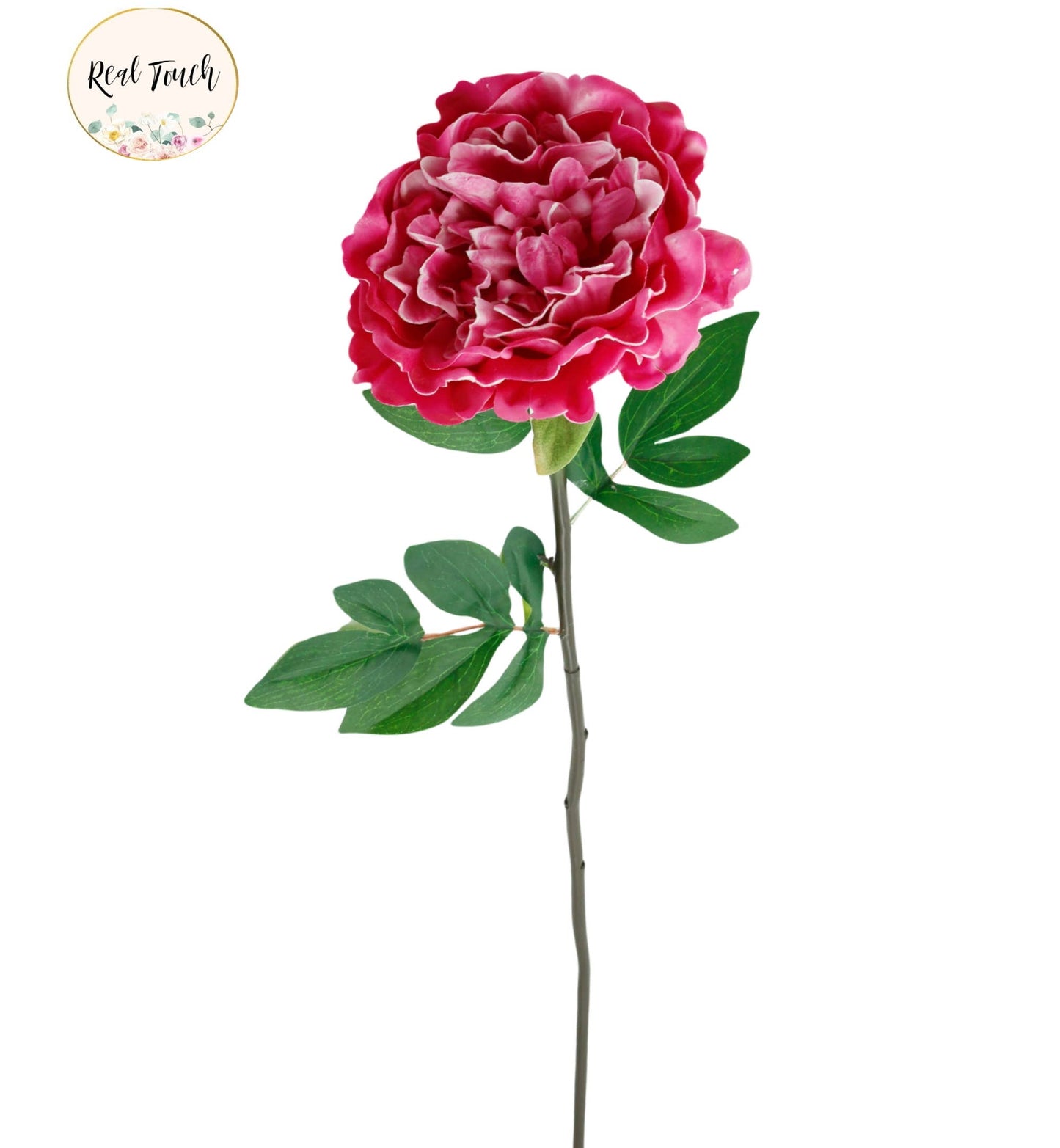 30" Premium Long stem Large Bloom Peony