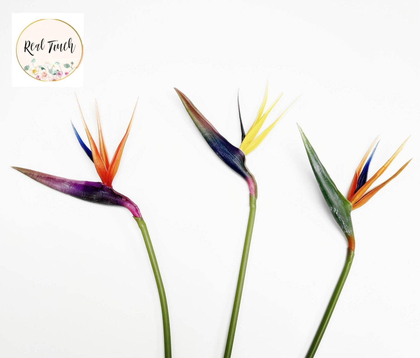 20" Real Touch Bird of Paradise-navy/begonia/orange