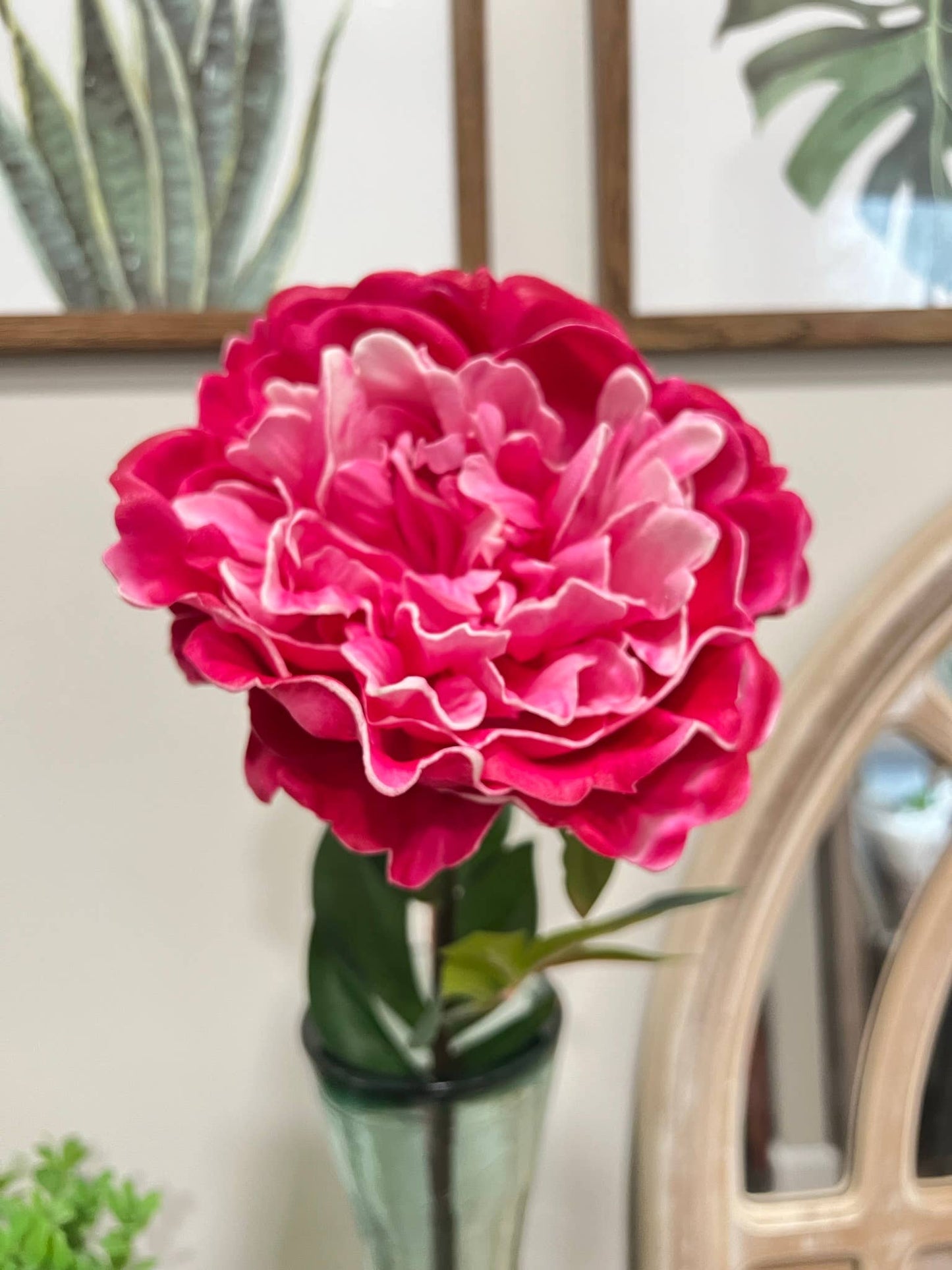 30" Premium Long stem Large Bloom Peony