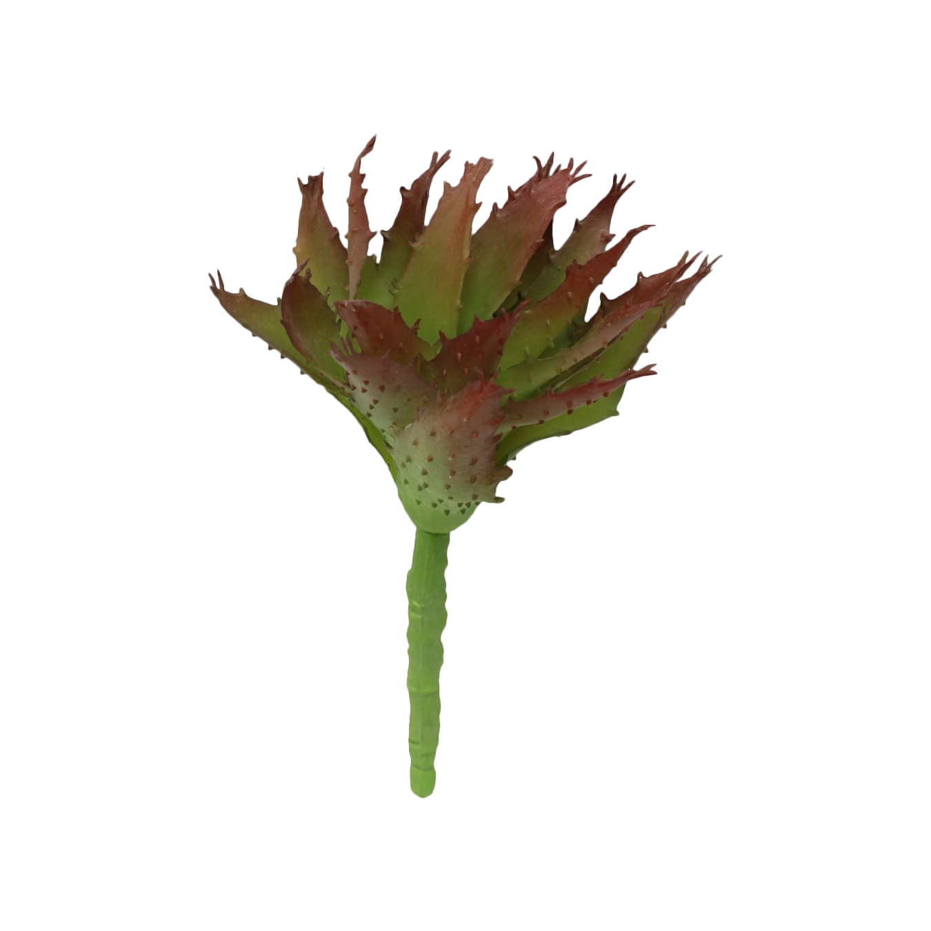 Pack of 6 - Artificial Succulent Picks