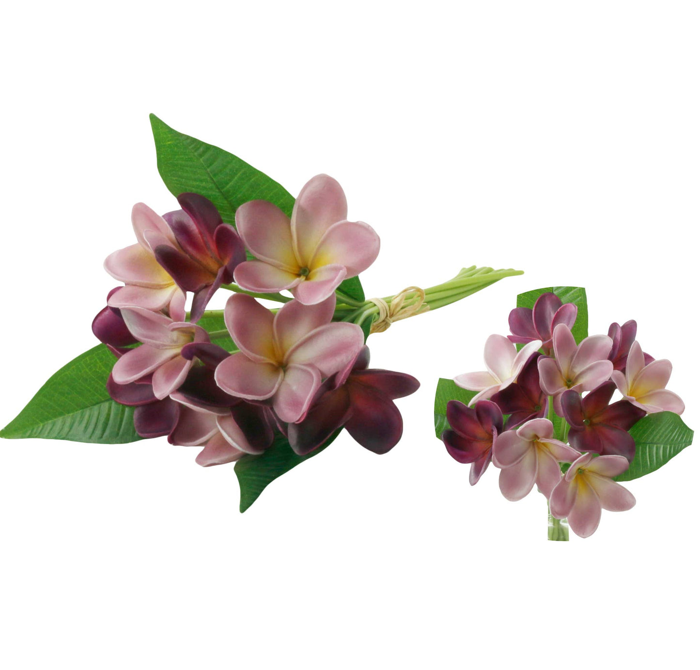 Artificial Real touch Plumeria Frangipani bundle
