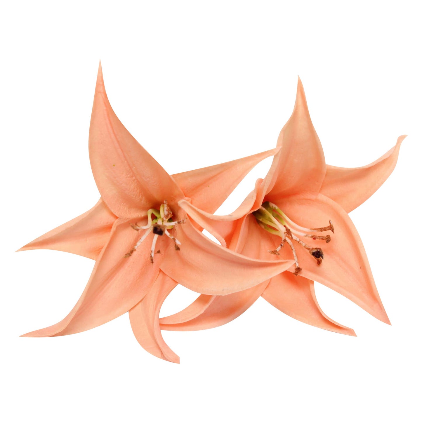 Real Touch stemless Lily Bloom