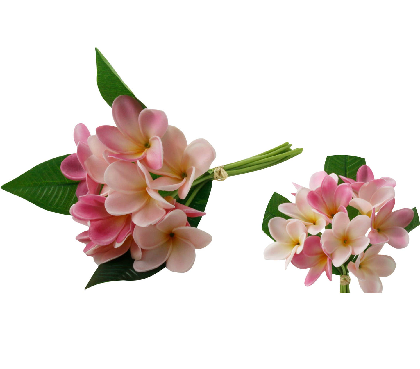 Artificial Real touch Plumeria Frangipani bundle