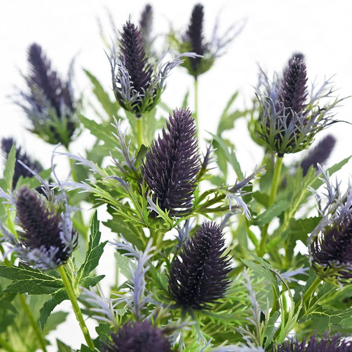 25" artificial Thistle