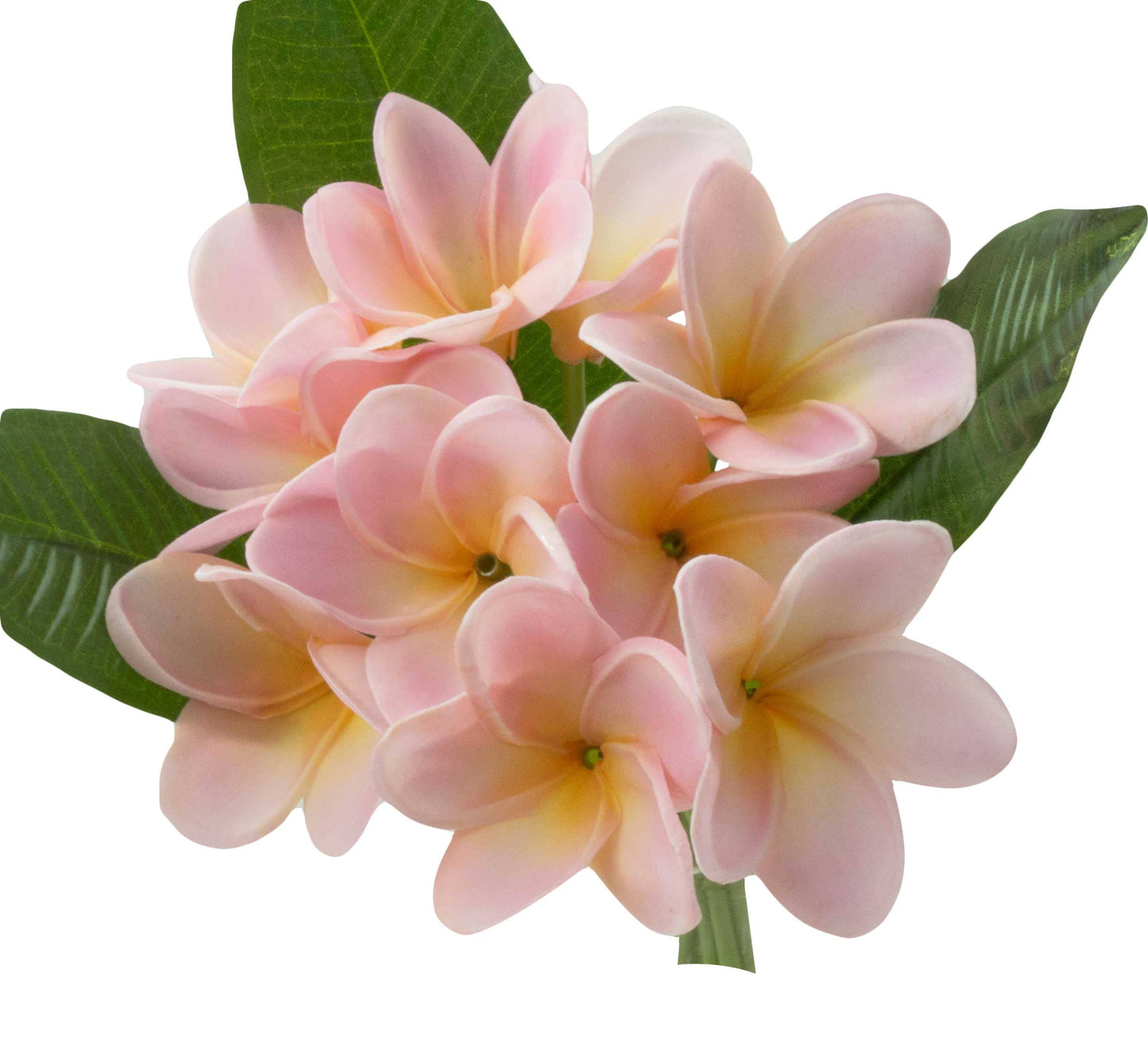 Artificial Real touch Plumeria Frangipani bundle