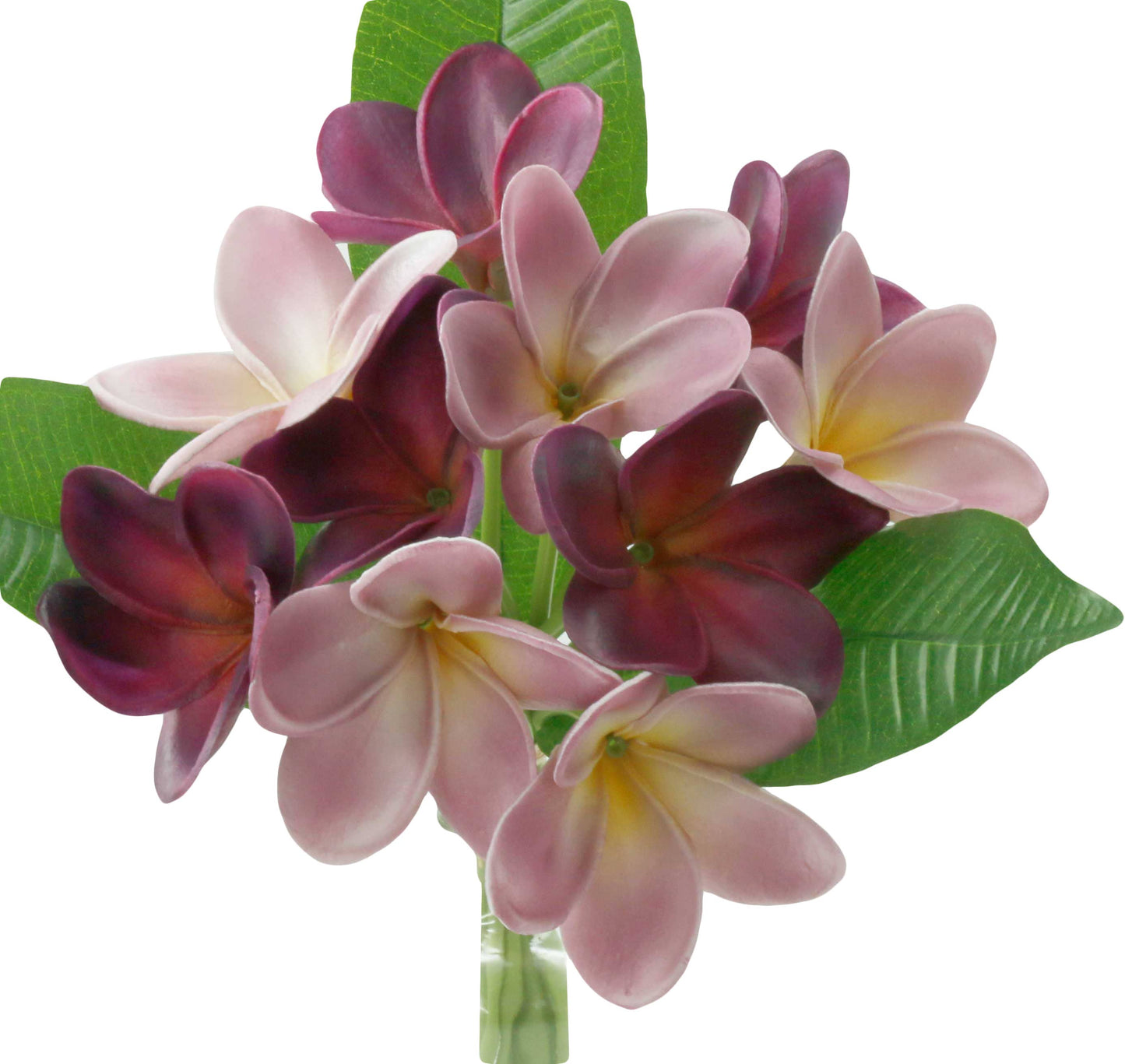 Artificial Real touch Plumeria Frangipani bundle