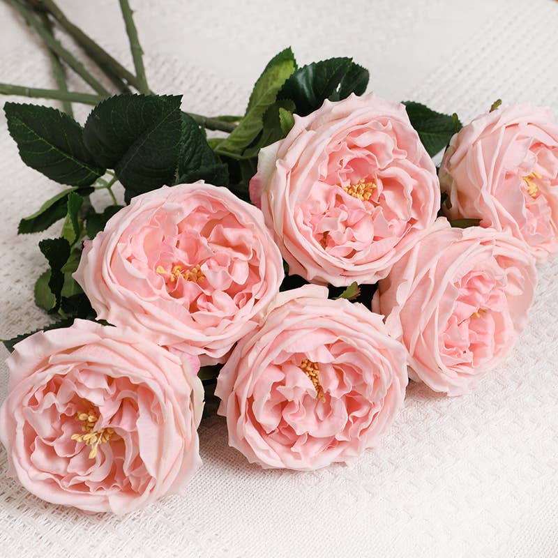 28" Premium Real touch English Cabbage Rose Stem