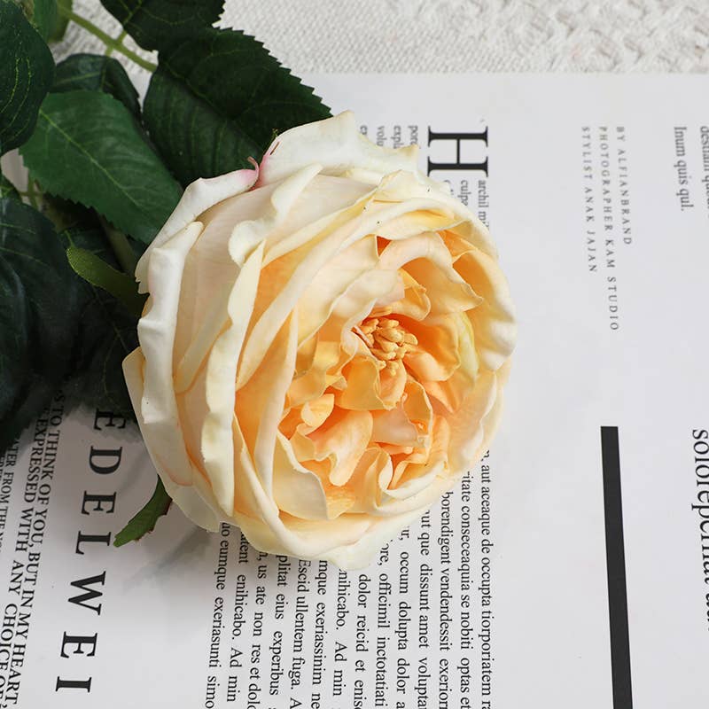 28" Premium Real touch English Cabbage Rose Stem