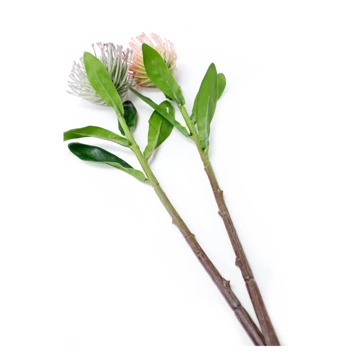 16" Artificial frosted needle pincushion protea