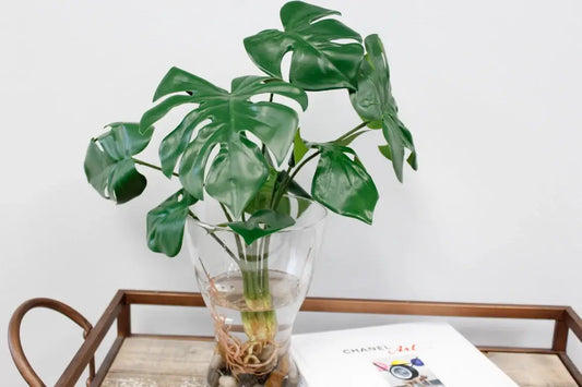 15" Artificial Monstera Plant Foliage with Roots 8 Leaves