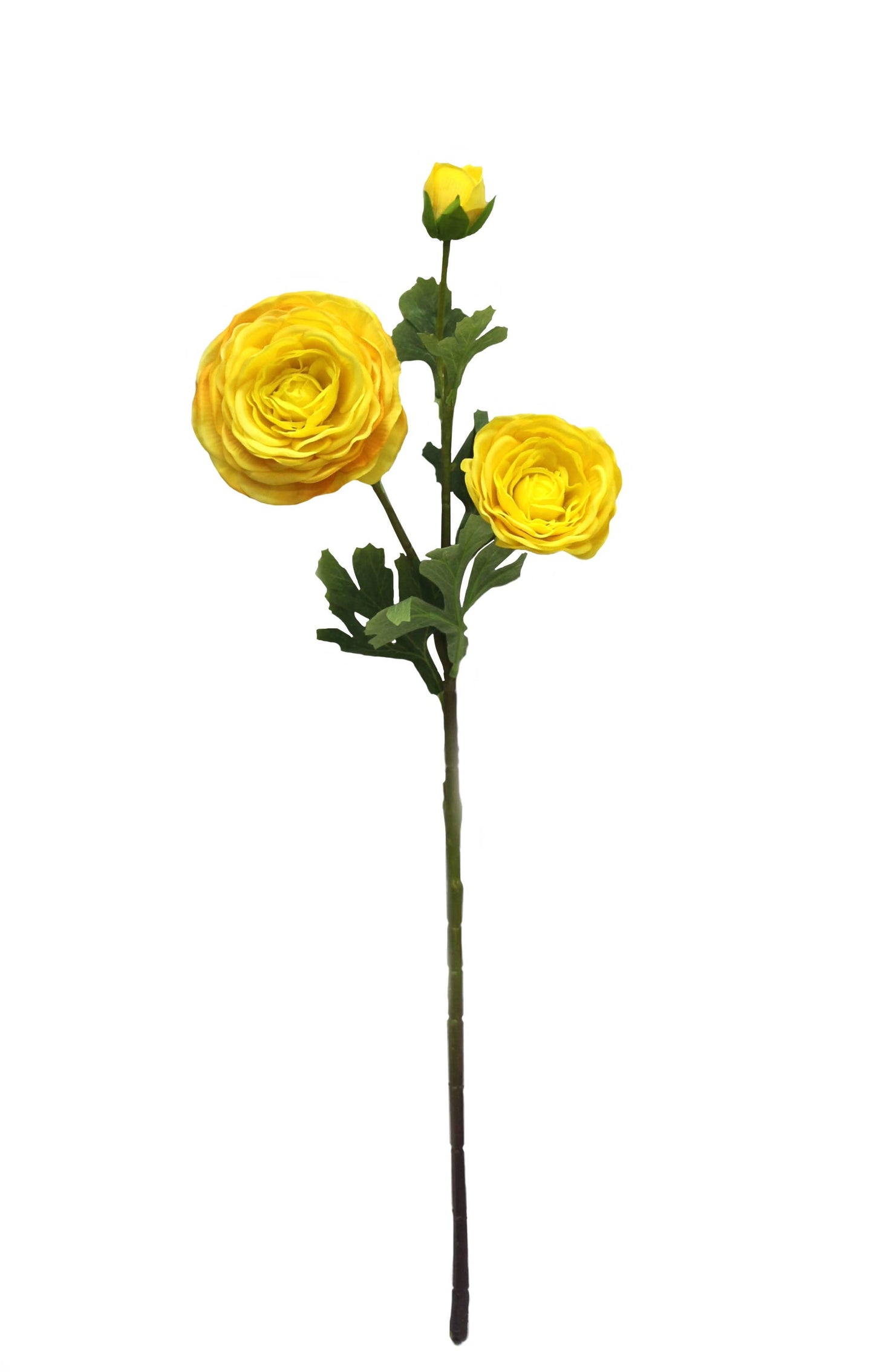 24" Real Touch ranunculus 2 flowers 1 bud