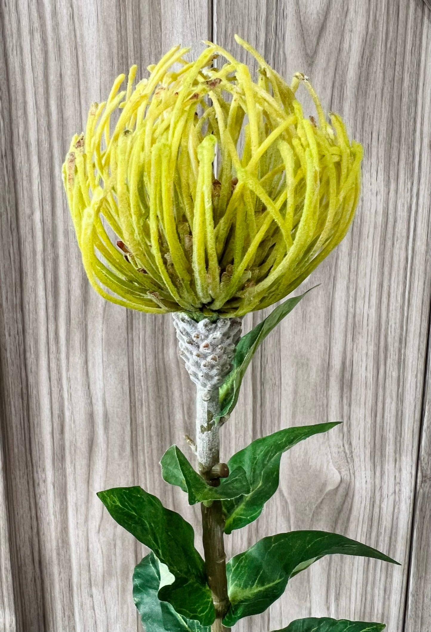29" Artificial Saffron Pincushion Needle Protea