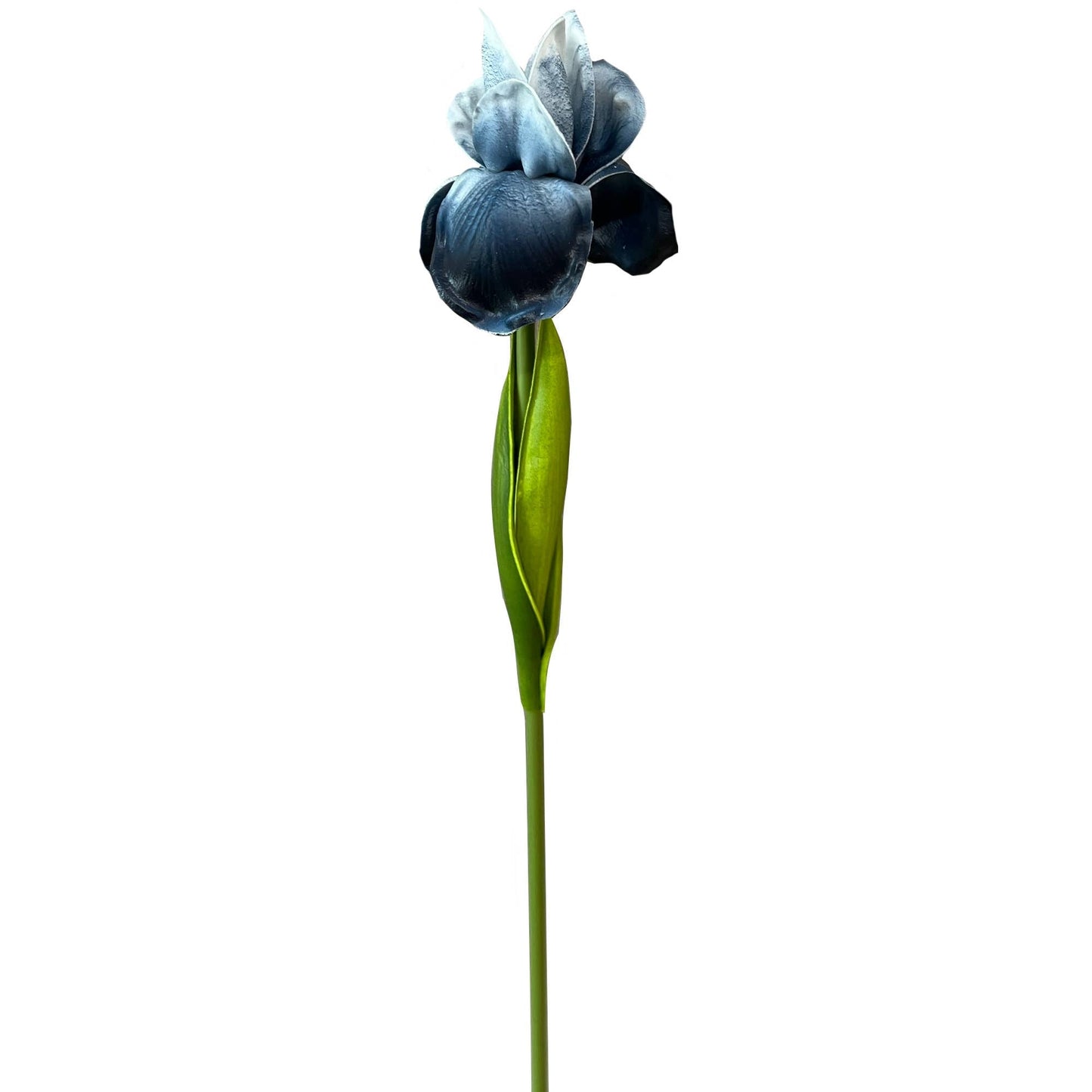 18inch-Real Touch Bearded Iris Stem