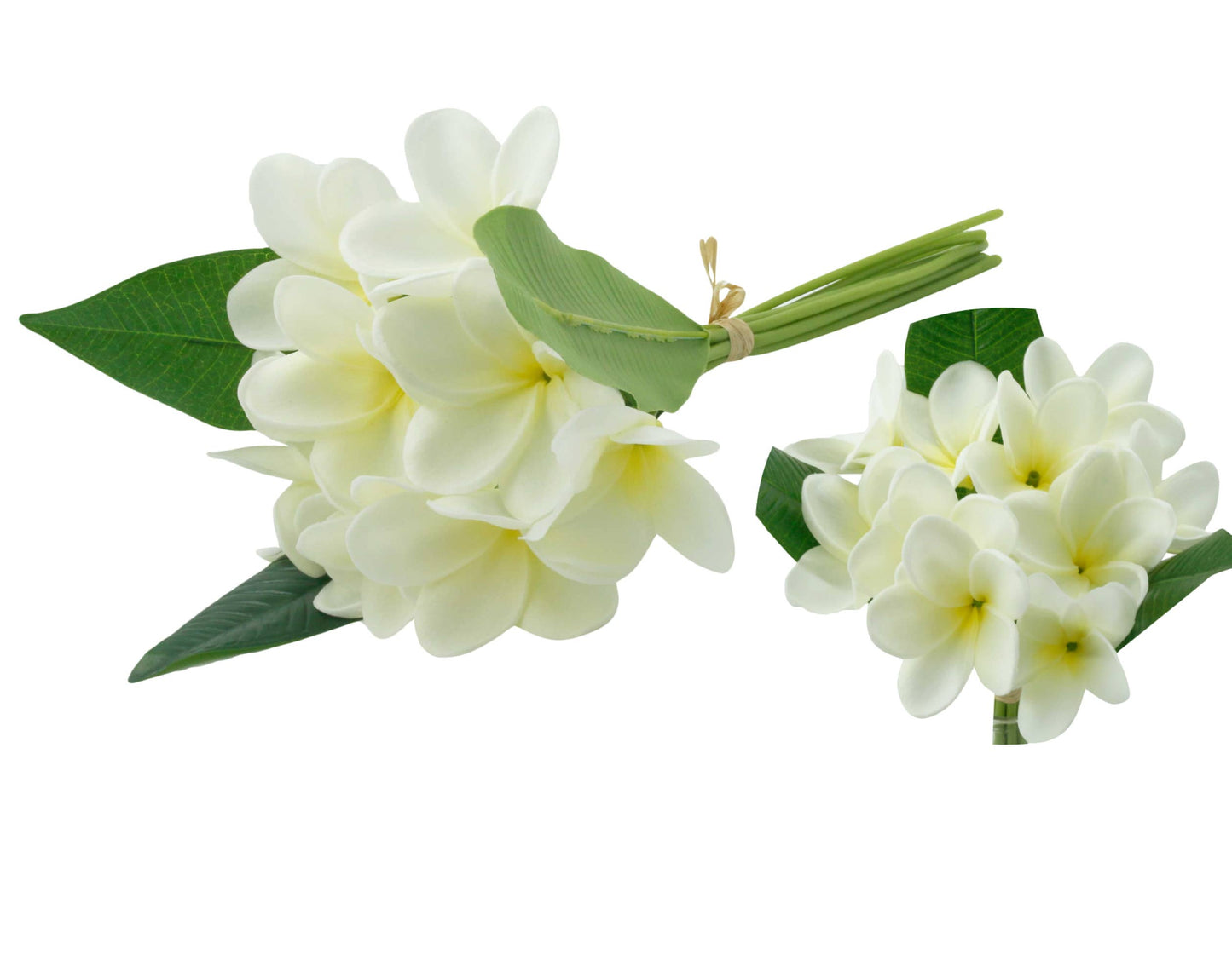Artificial Real touch Plumeria Frangipani bundle