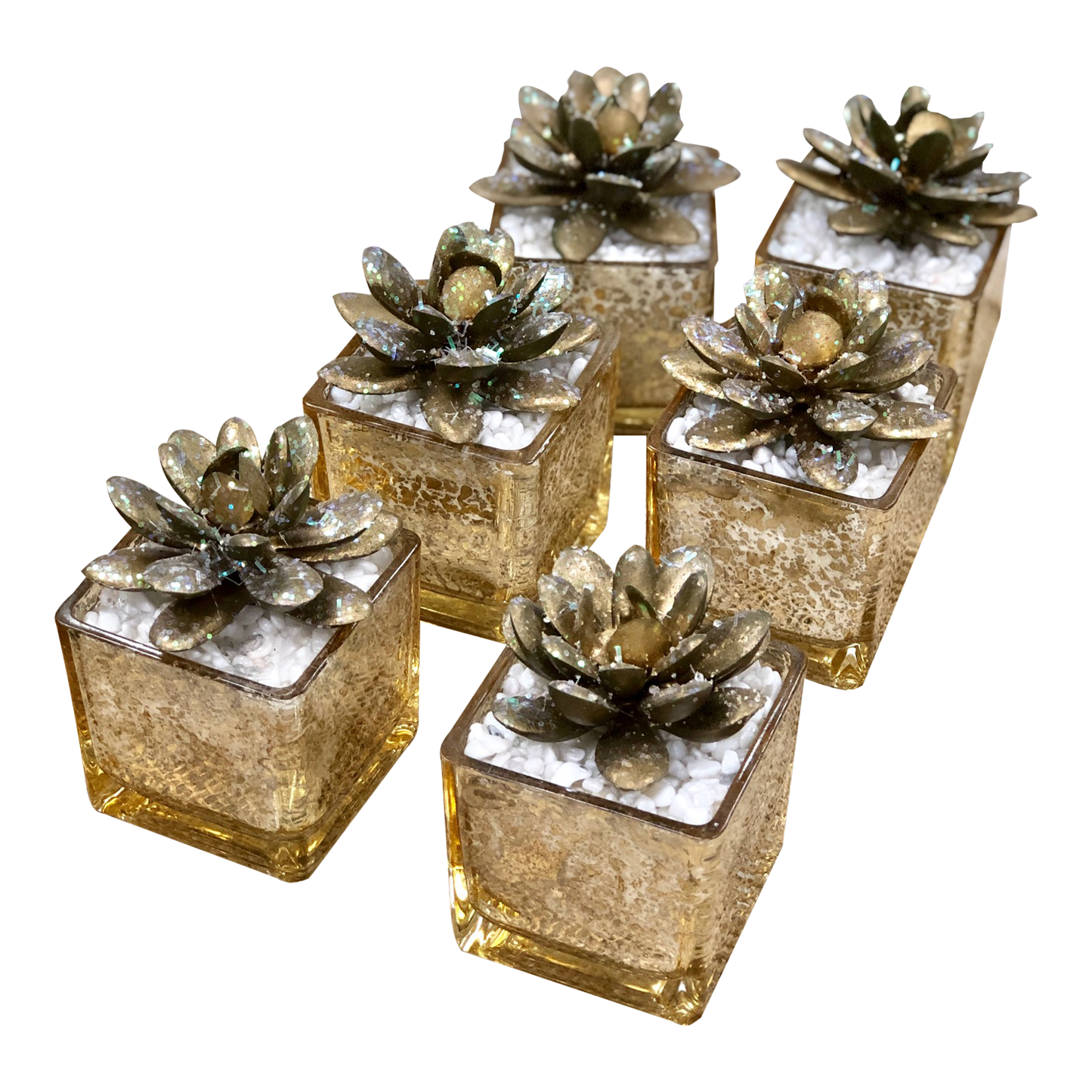 Potted Succulents-mini glittered Silver gold Echeveria