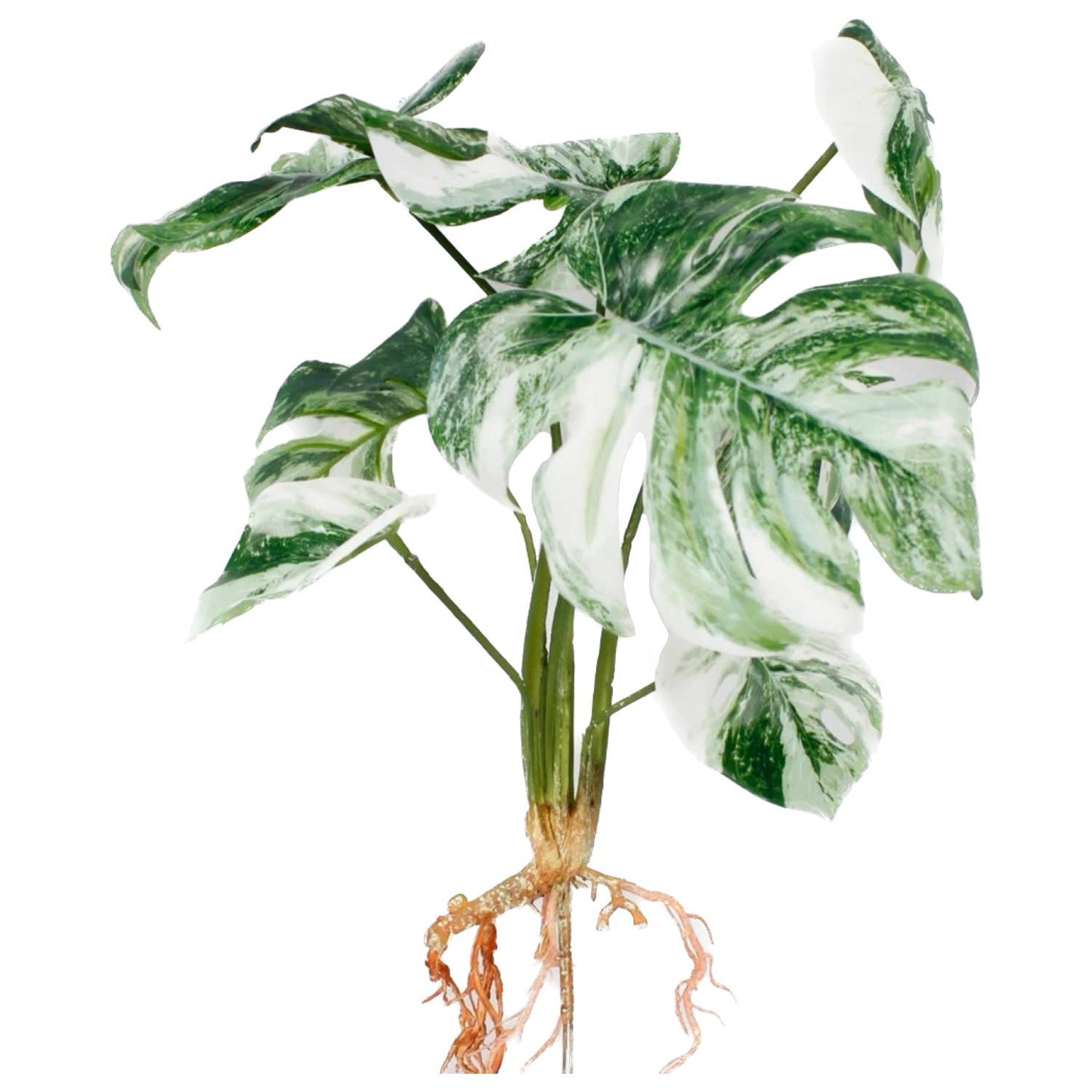 15" Artificial Monstera Plant Foliage with Roots 8 Leaves