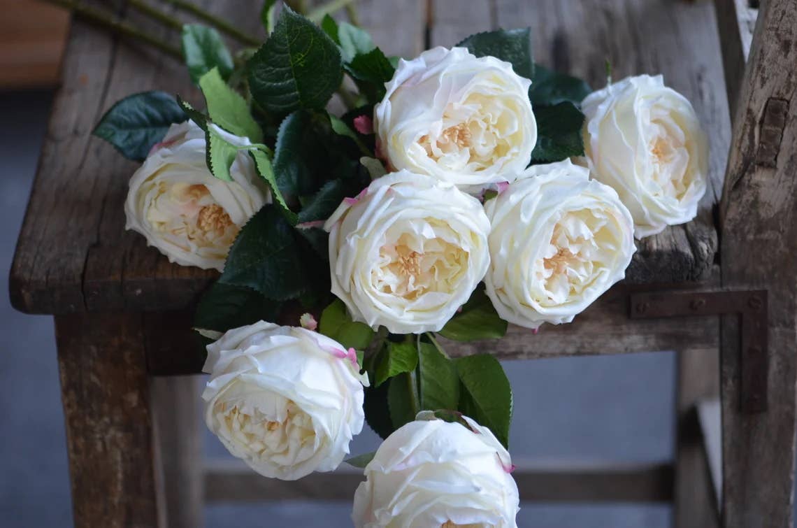 28" Premium Real touch English Cabbage Rose Stem