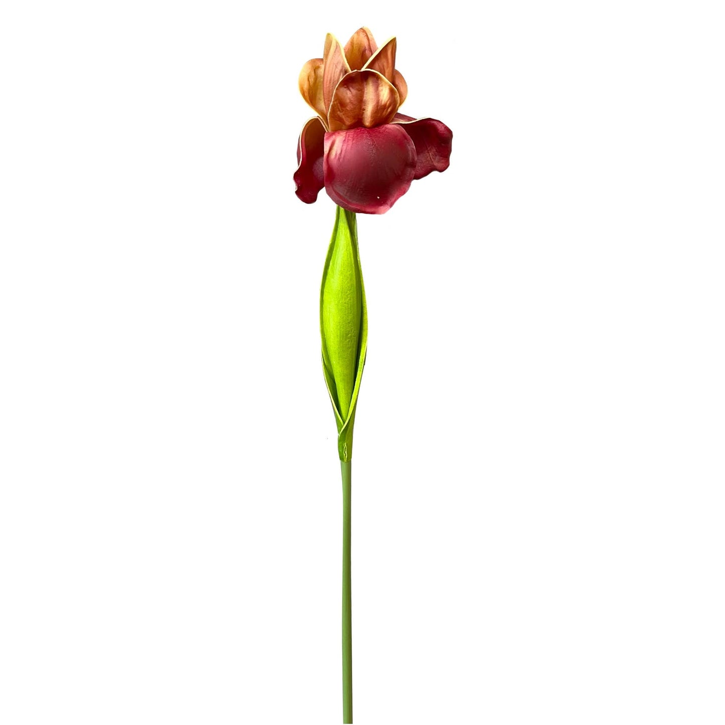 18inch-Real Touch Bearded Iris Stem