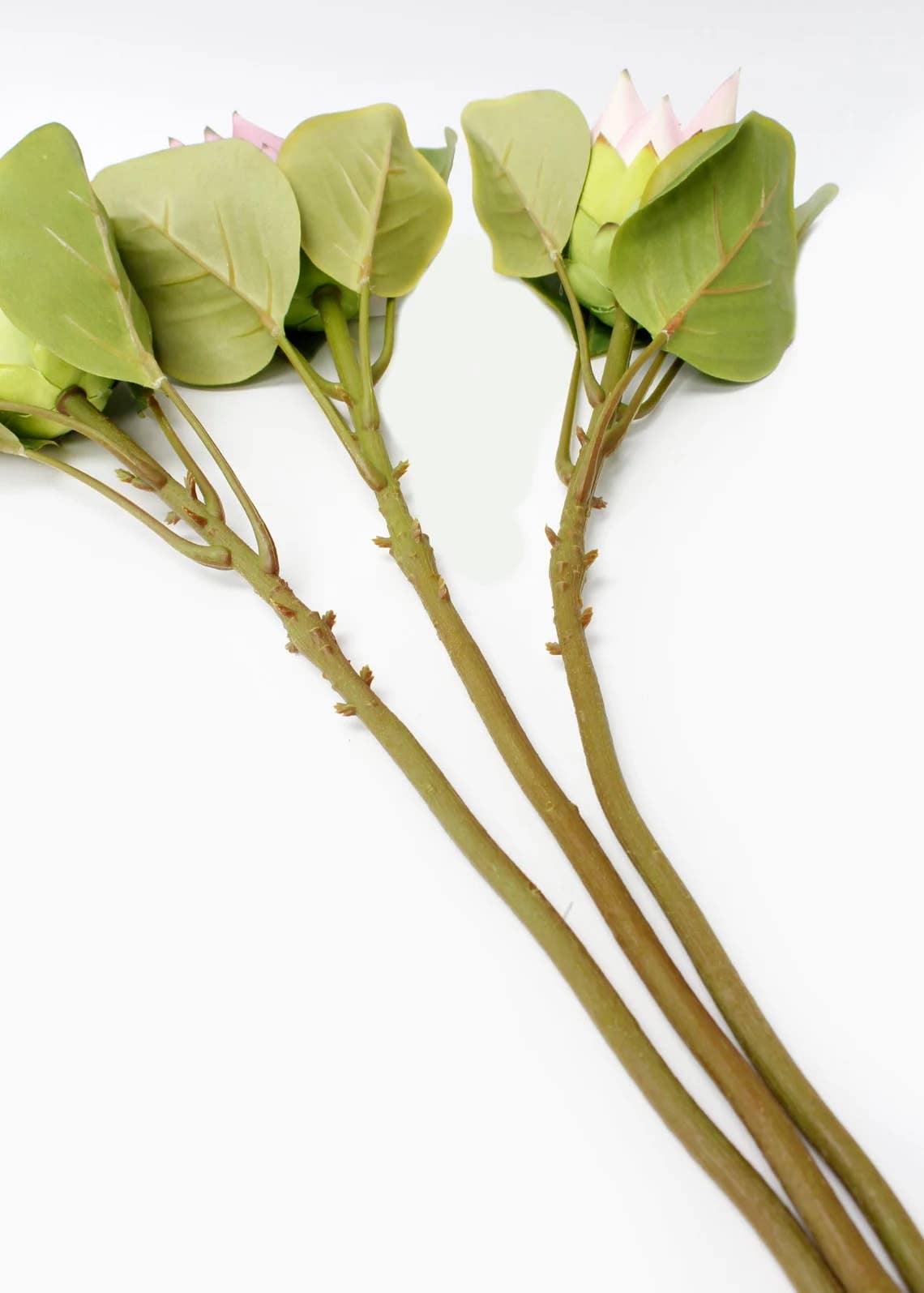 21" Artificial King Protea stem silk bloom real touch leaf