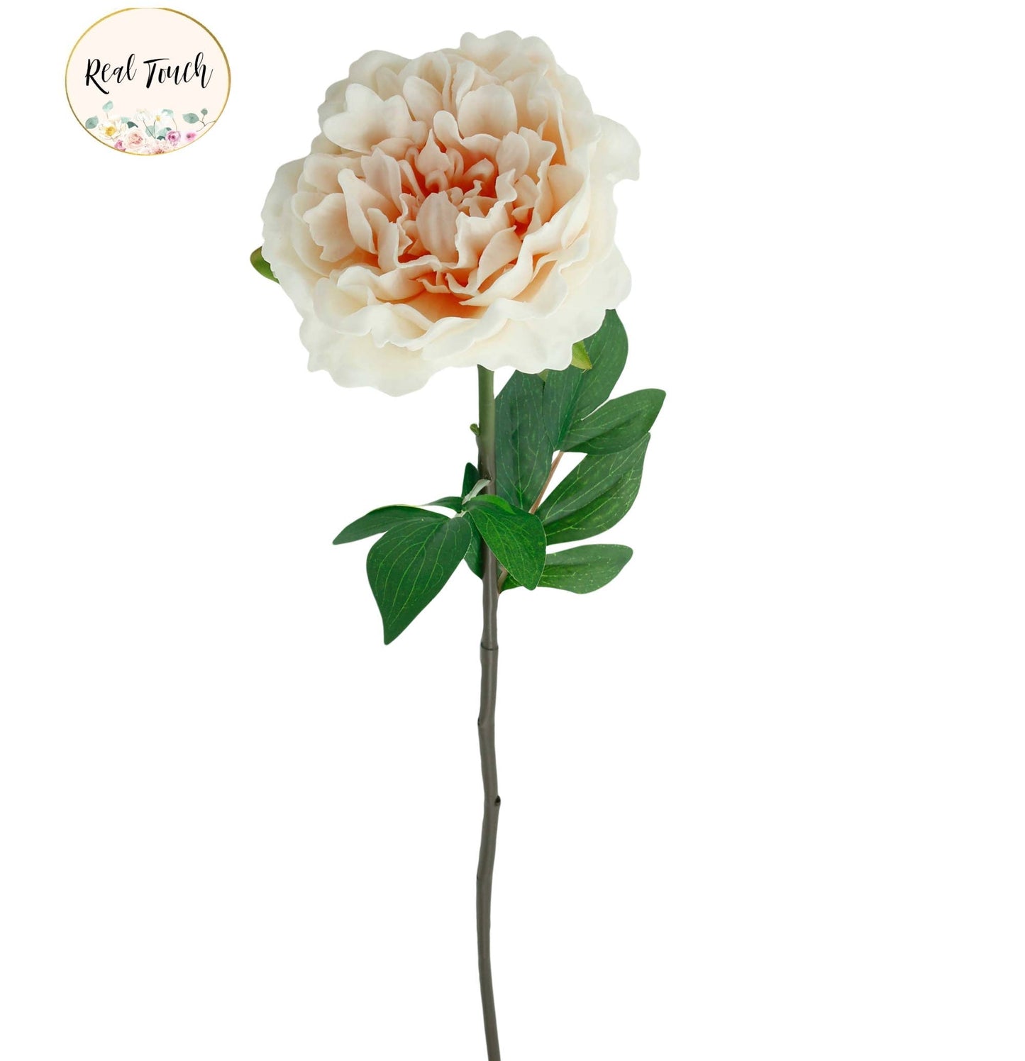 30" Premium Long stem Large Bloom Peony