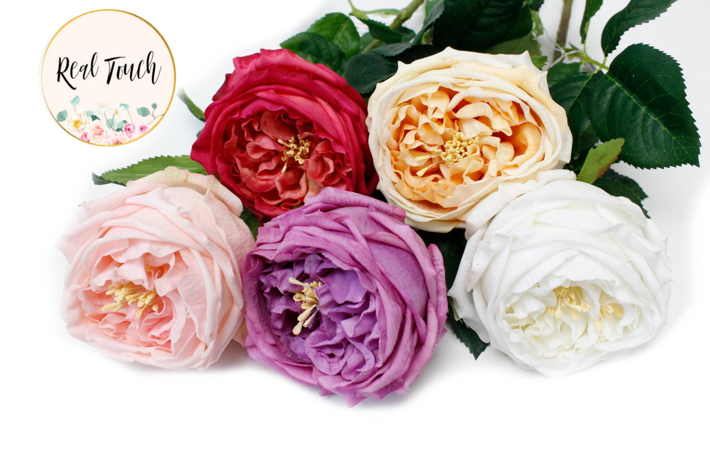 28" Premium Real touch English Cabbage Rose Stem
