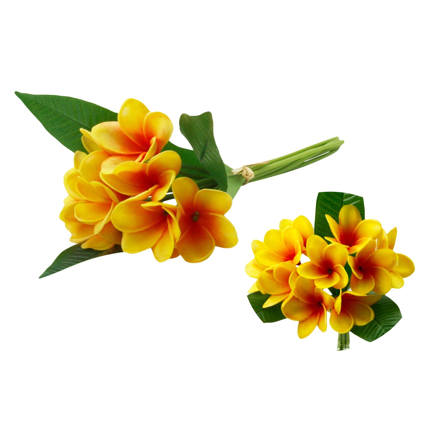 Artificial Real touch Plumeria Frangipani bundle