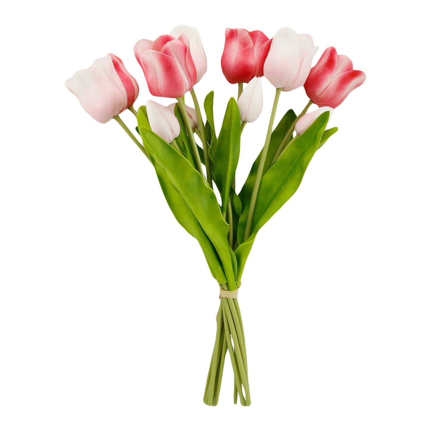 18" Elegant Holland Tulip Bloom and Buds Bundle