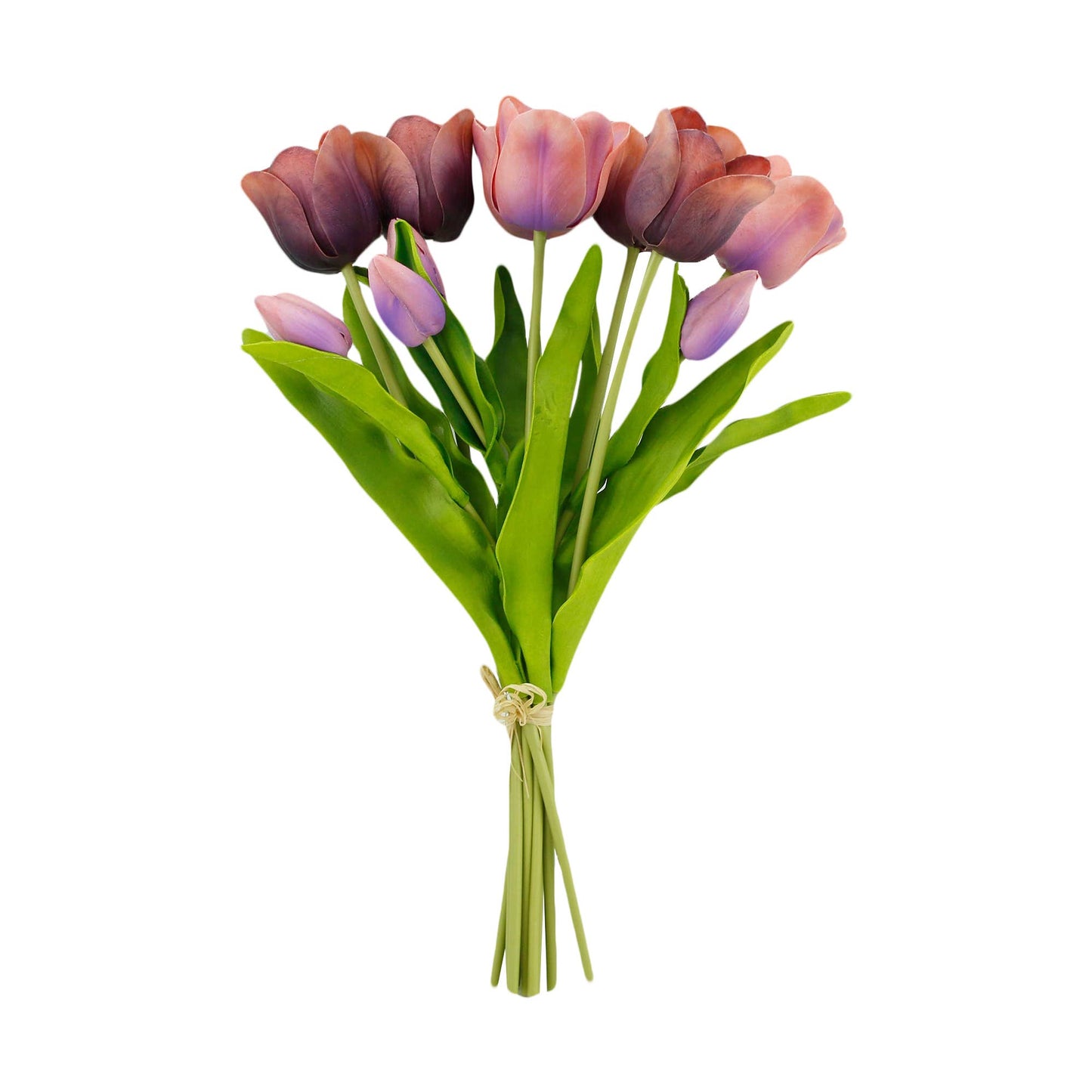 18" Elegant Holland Tulip Bloom and Buds Bundle