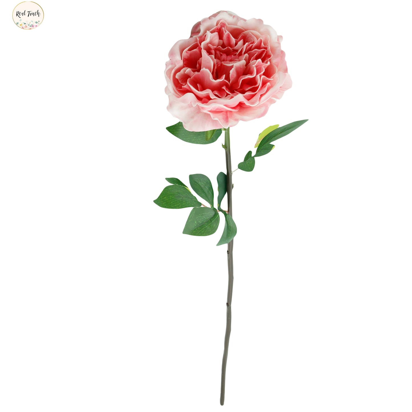 30" Premium Long stem Large Bloom Peony