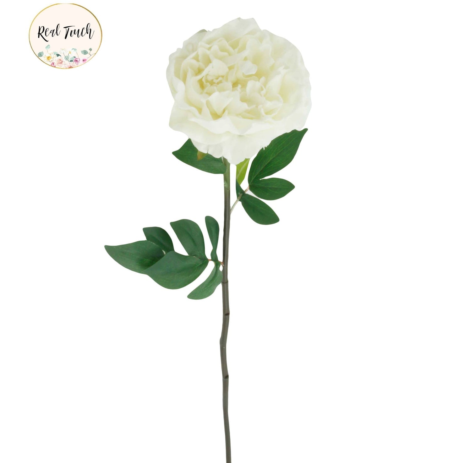 30" Premium Long stem Large Bloom Peony