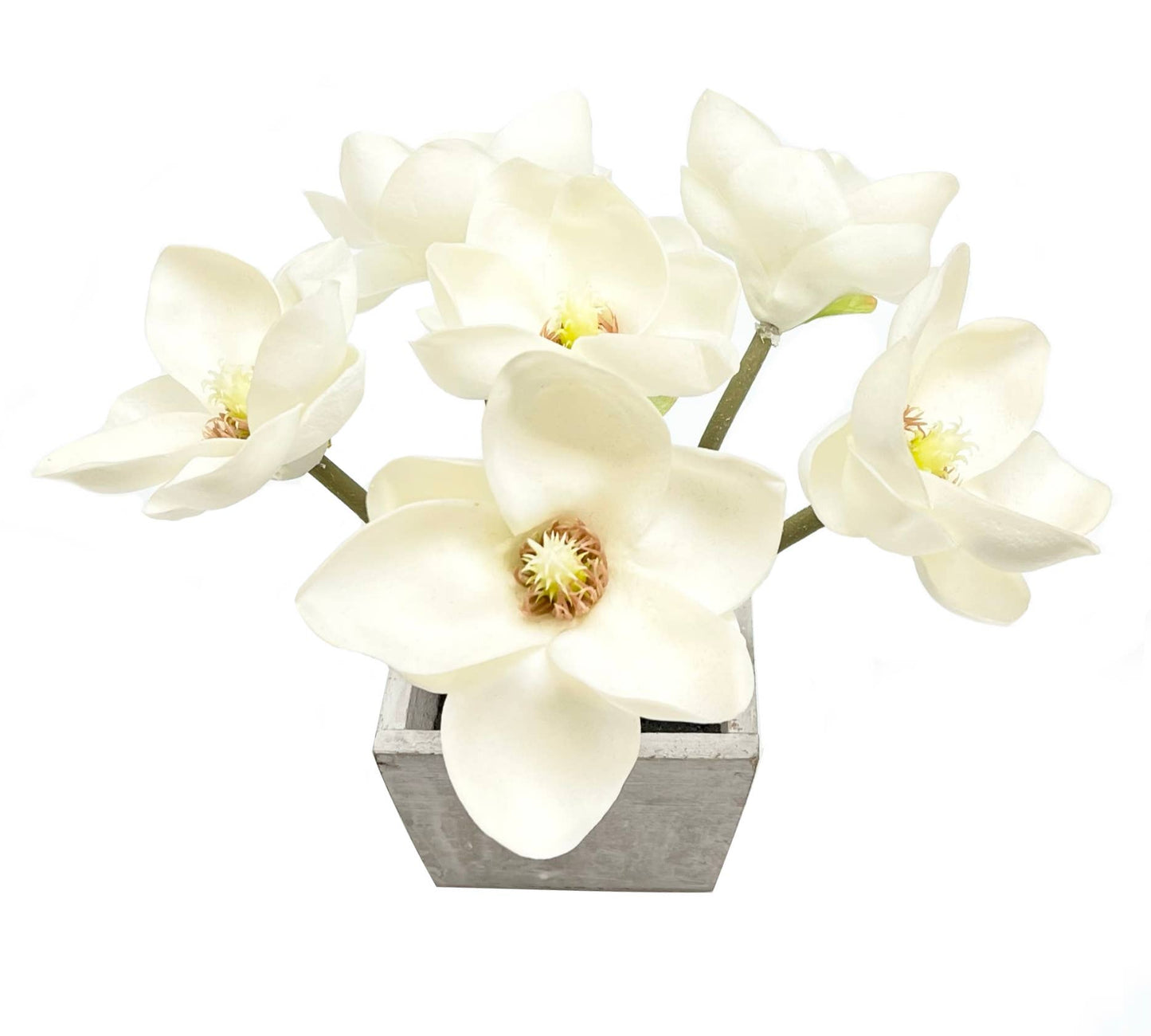 11" Real touch Potted Magnoli tabletop centerpiece wood base