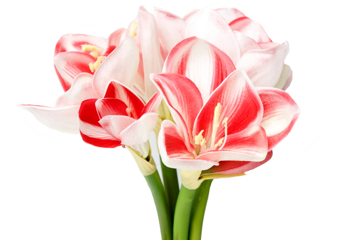 12" Real Touch faux Amaryllis - 8 blooms 2 buds