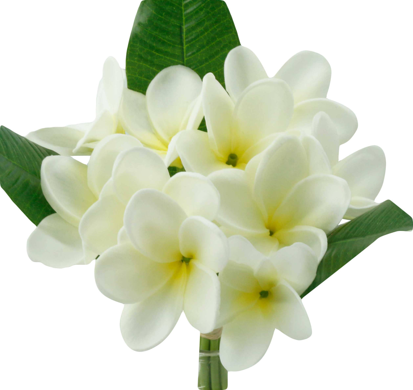 Artificial Real touch Plumeria Frangipani bundle