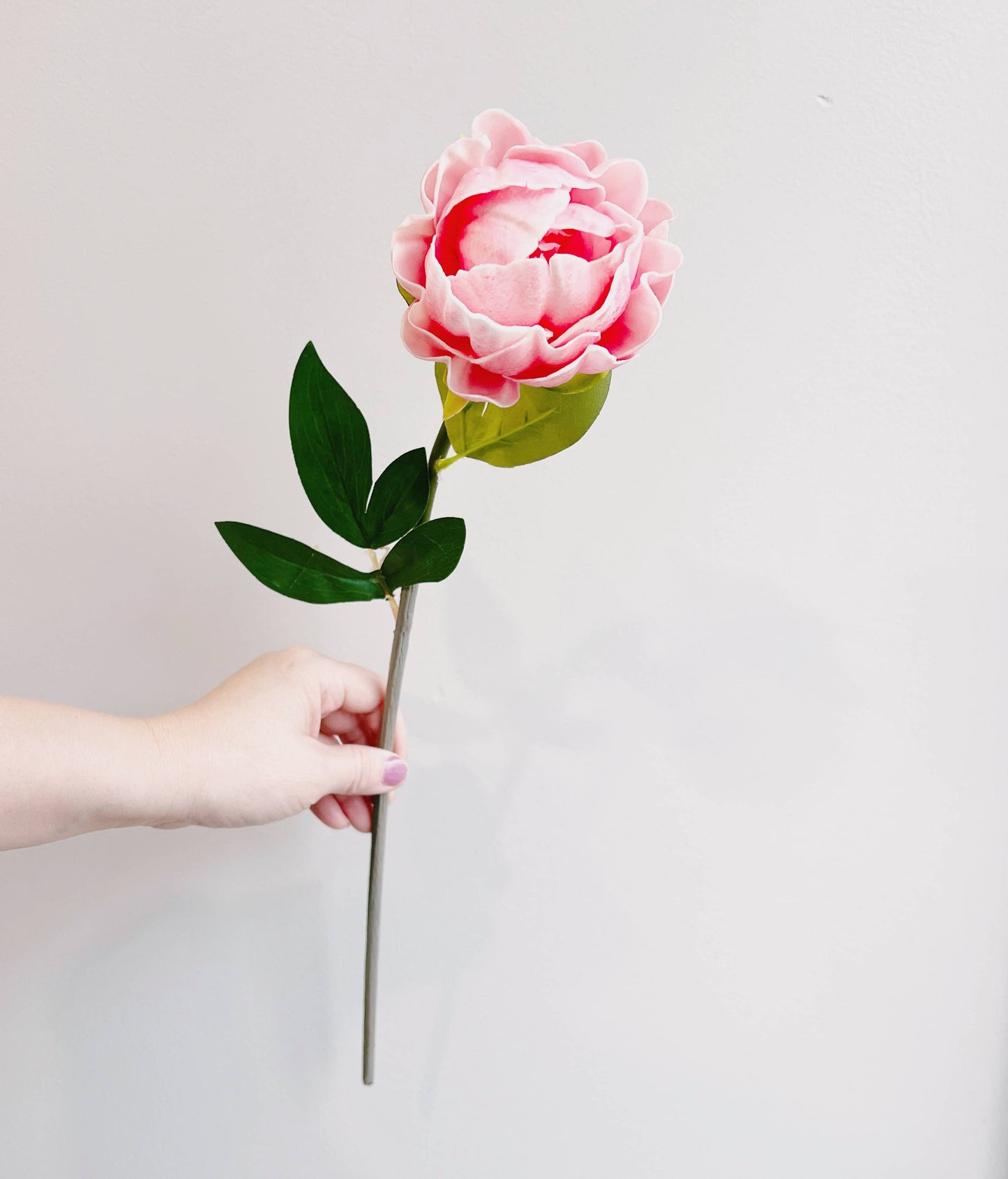 20"Real Touch Peony Stem