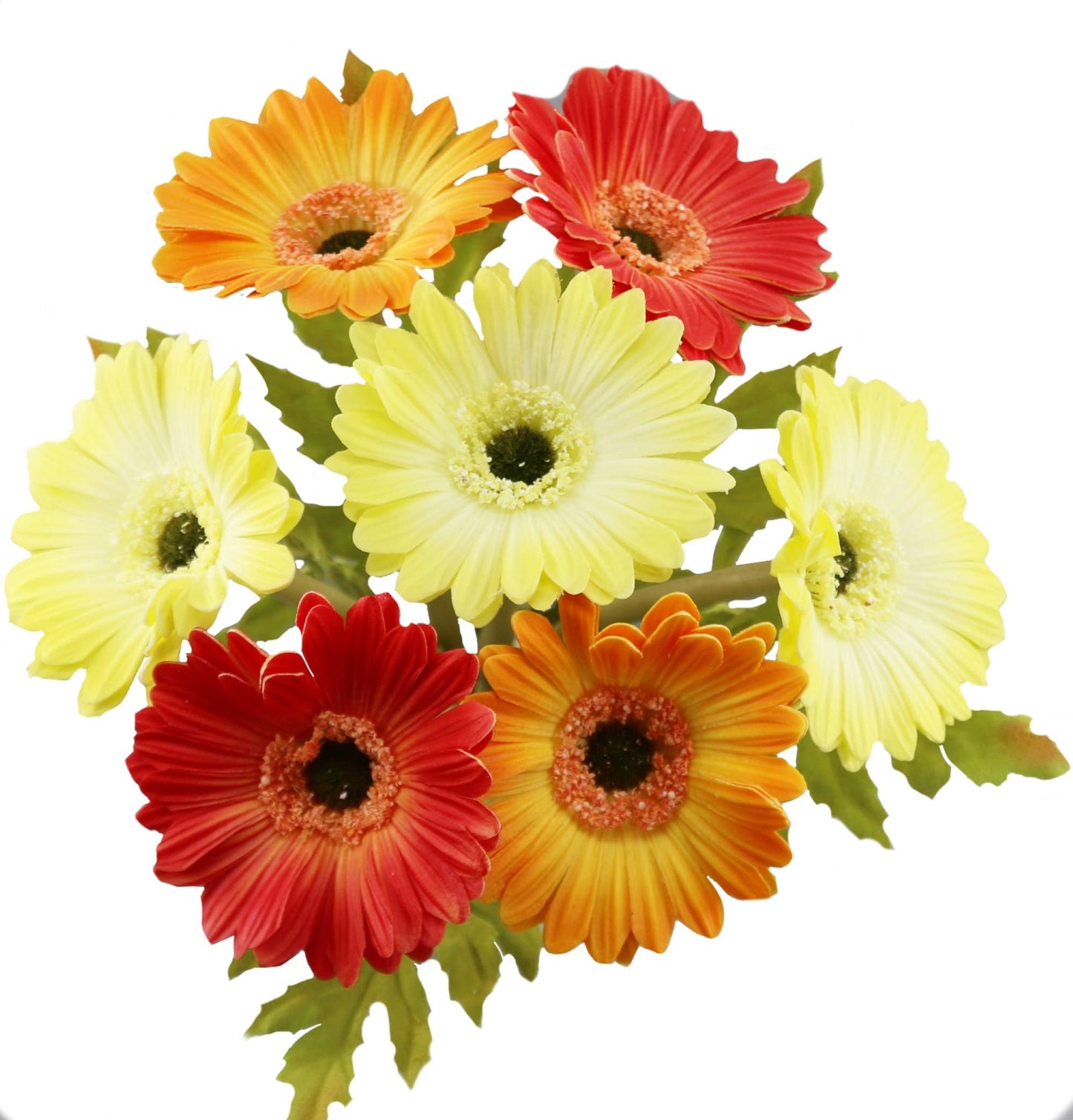 14"-Pack of 7stem Real Touch Daisy Bouquet