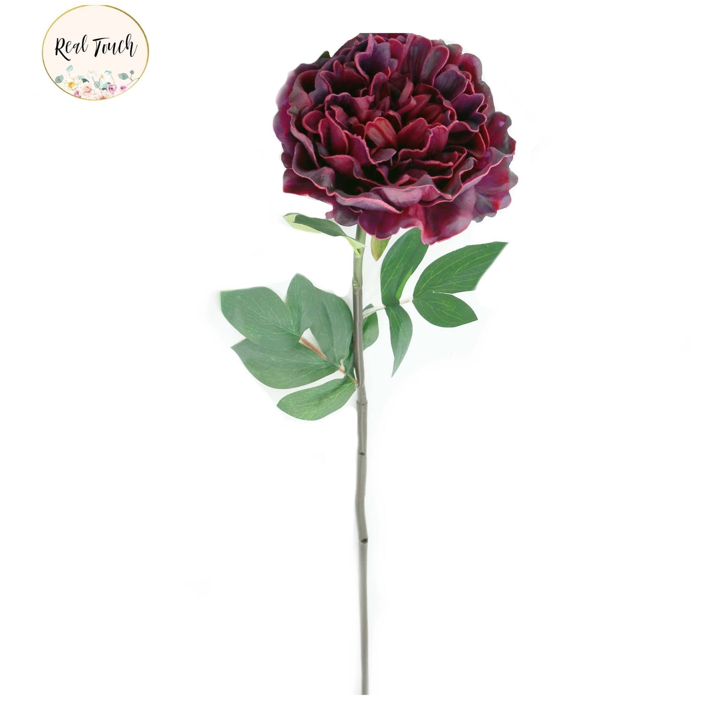 30" Premium Long stem Large Bloom Peony