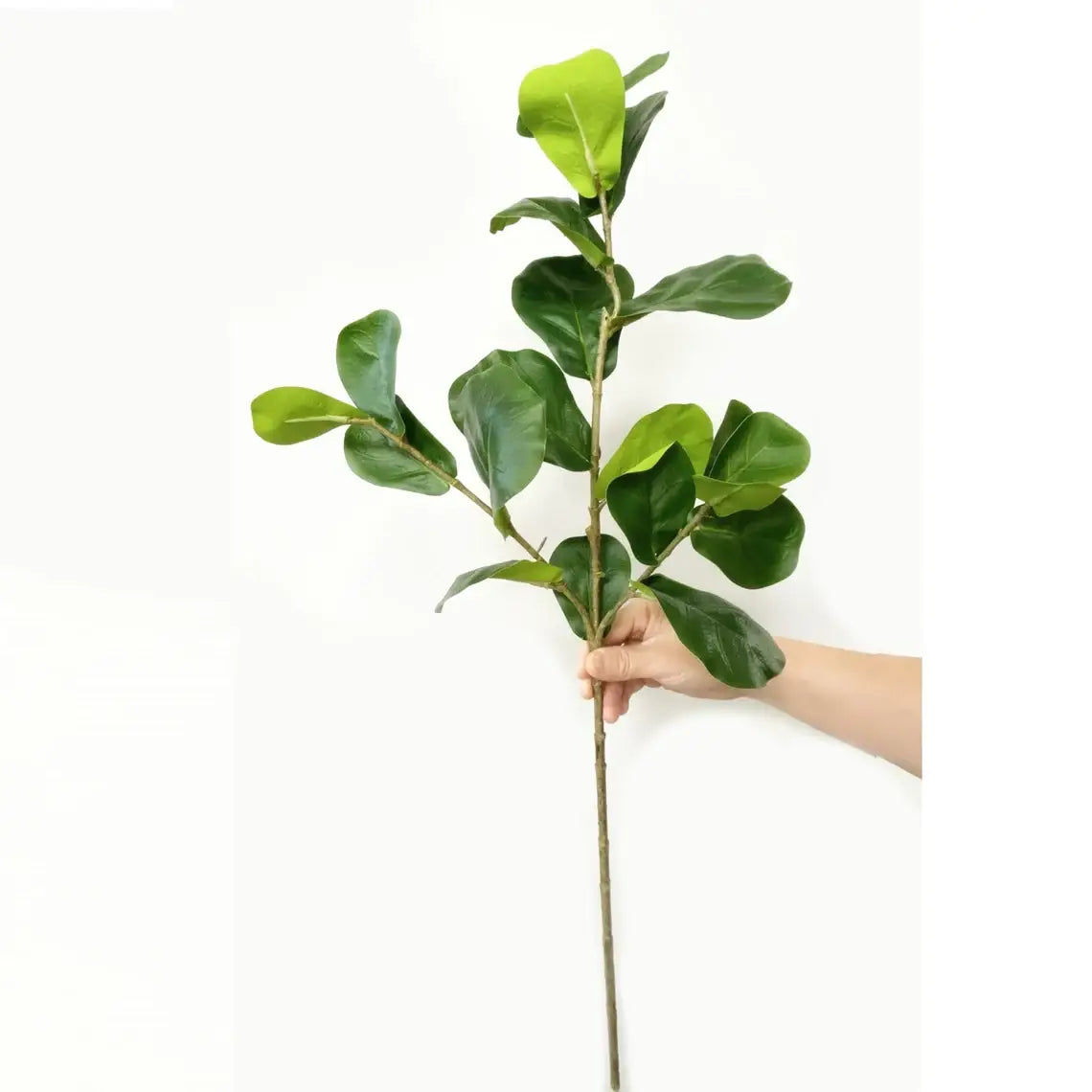 30" Artificial Fiddle Leaf branch with 3 sprays
